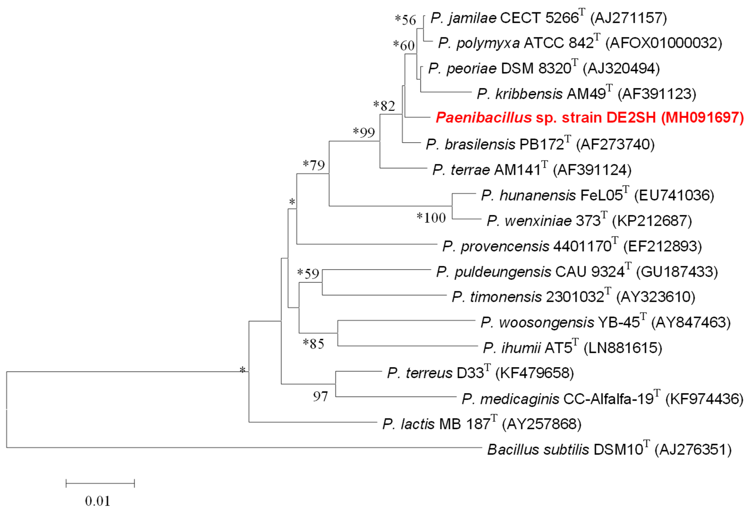 Marinedrugs 17 00009 g002 Marinedrugs 17 00009 g002