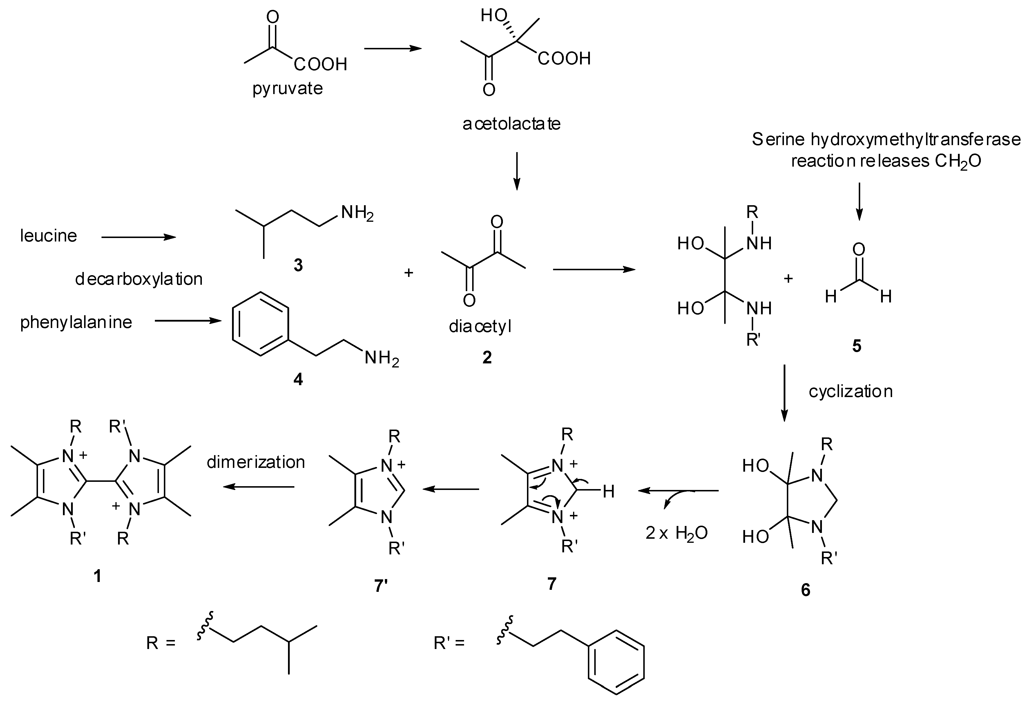 Marinedrugs 17 00009 sch001 Marinedrugs 17 00009 sch001