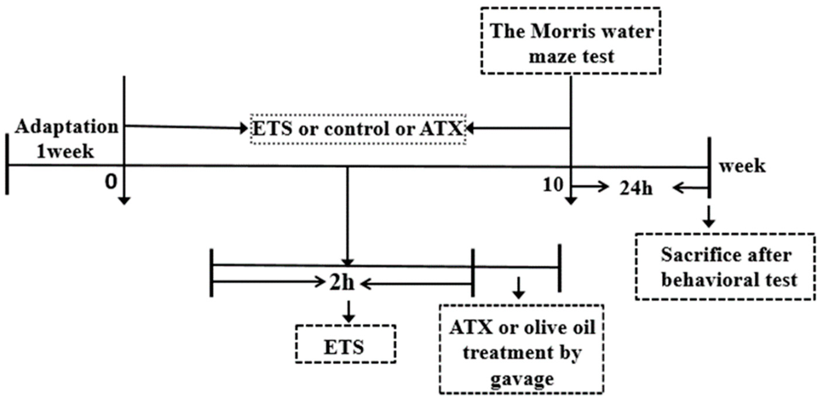 Marinedrugs 17 00024 g010 Marinedrugs 17 00024 g010
