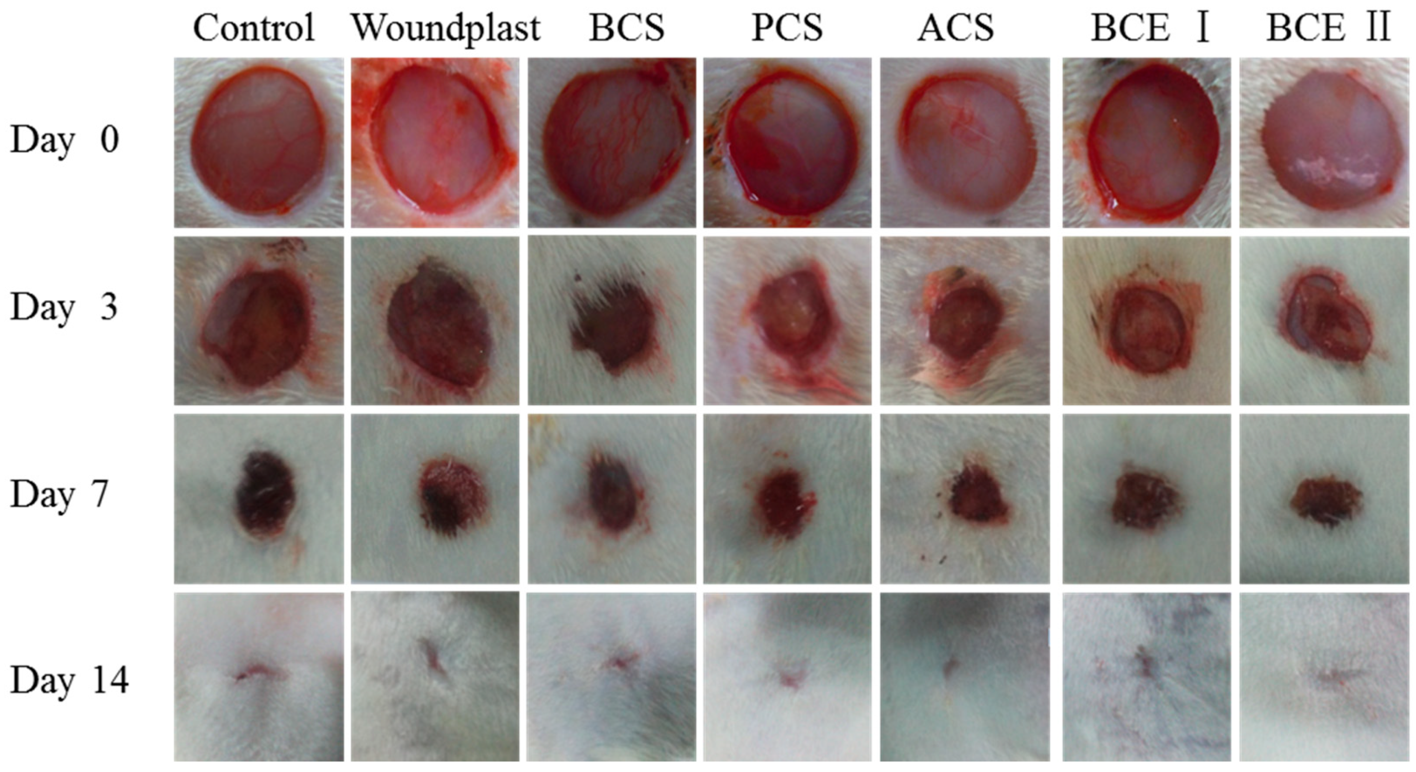 Marinedrugs 17 00033 g001 Marinedrugs 17 00033 g001