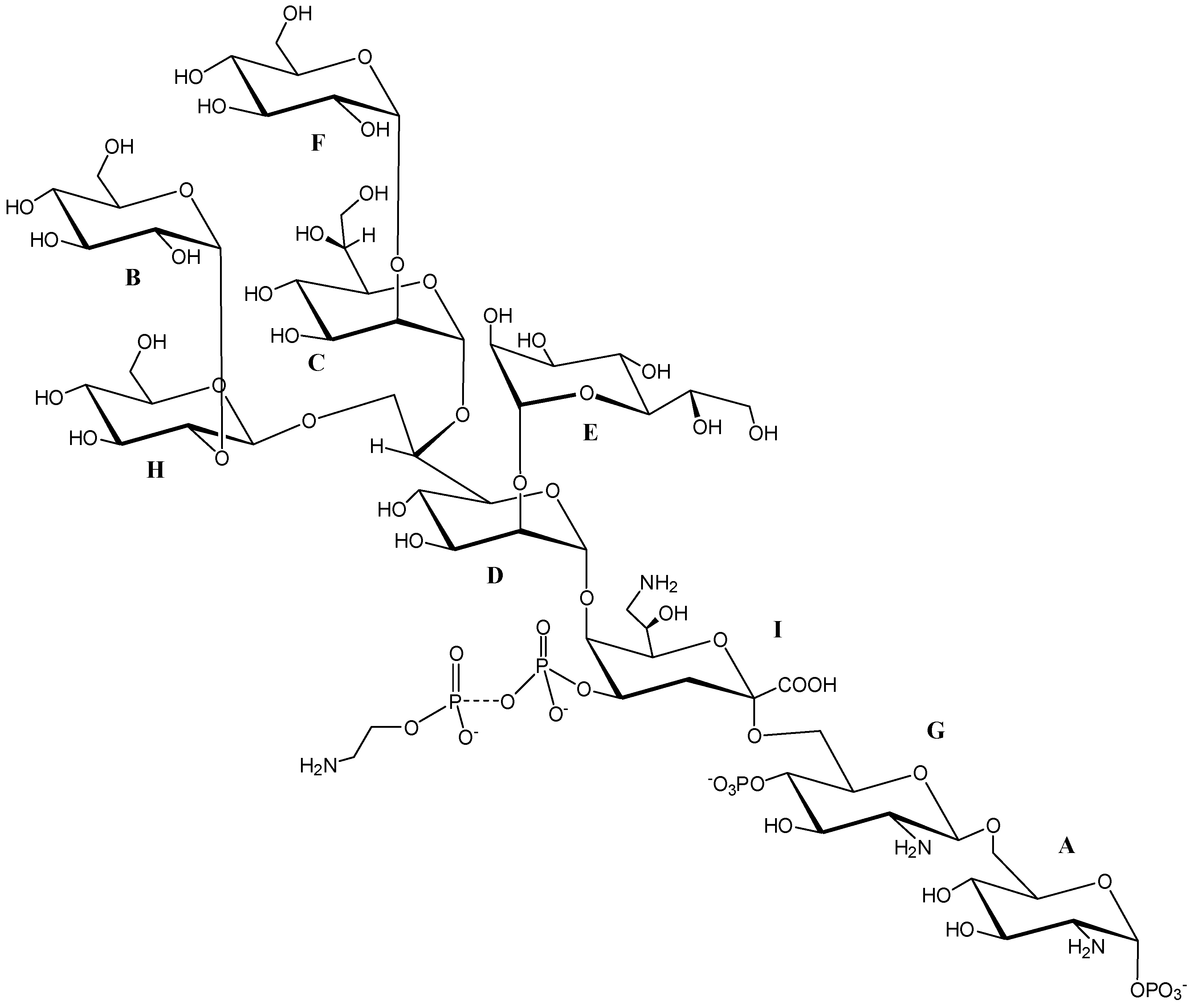 Marinedrugs 17 00034 g007