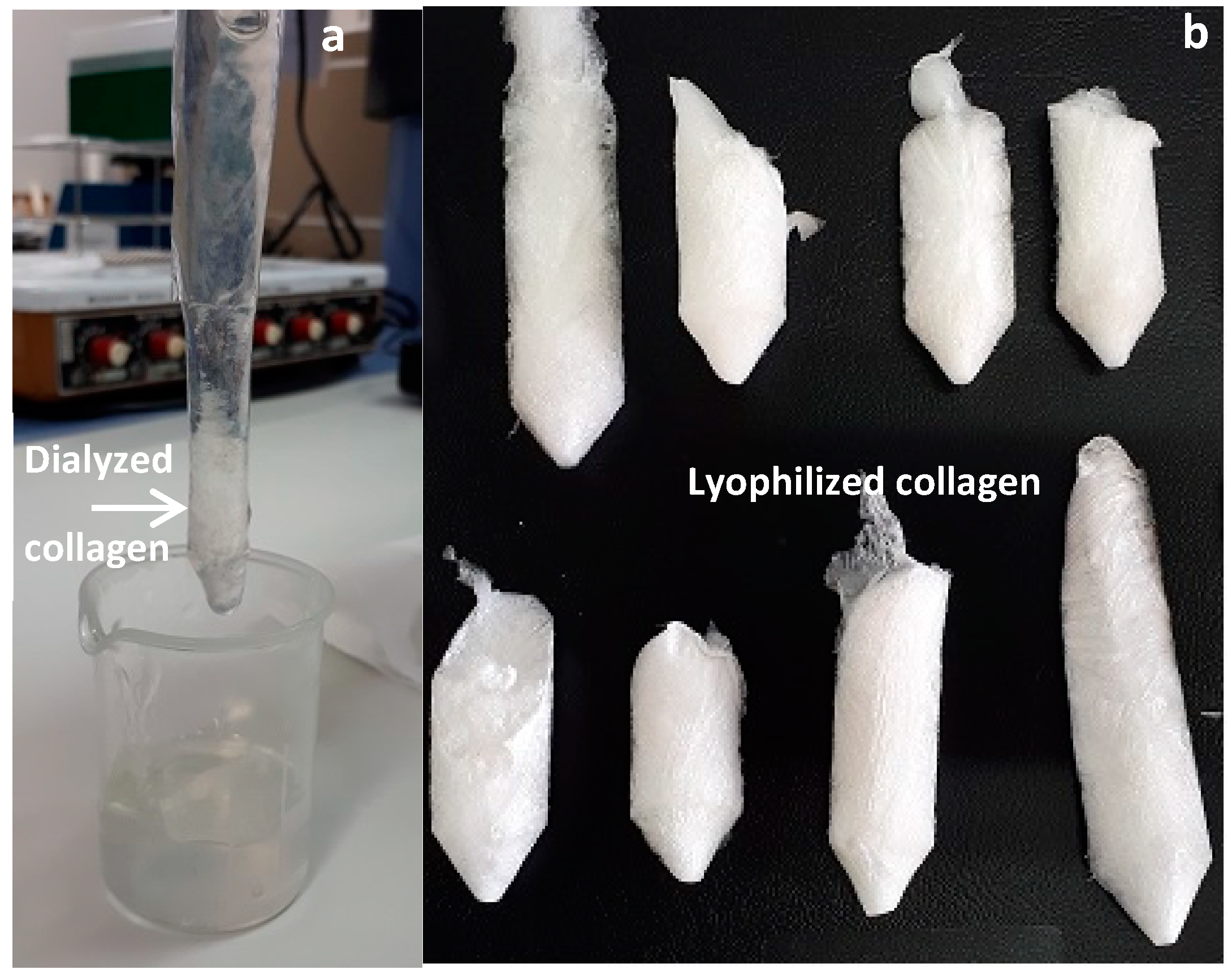 Marinedrugs 17 00040 g002