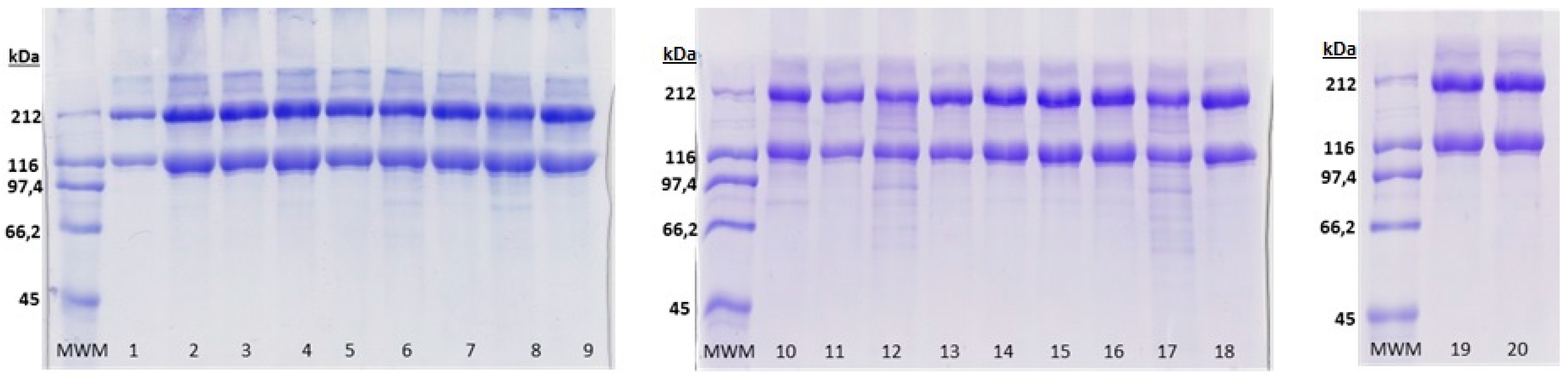 Marinedrugs 17 00040 g004