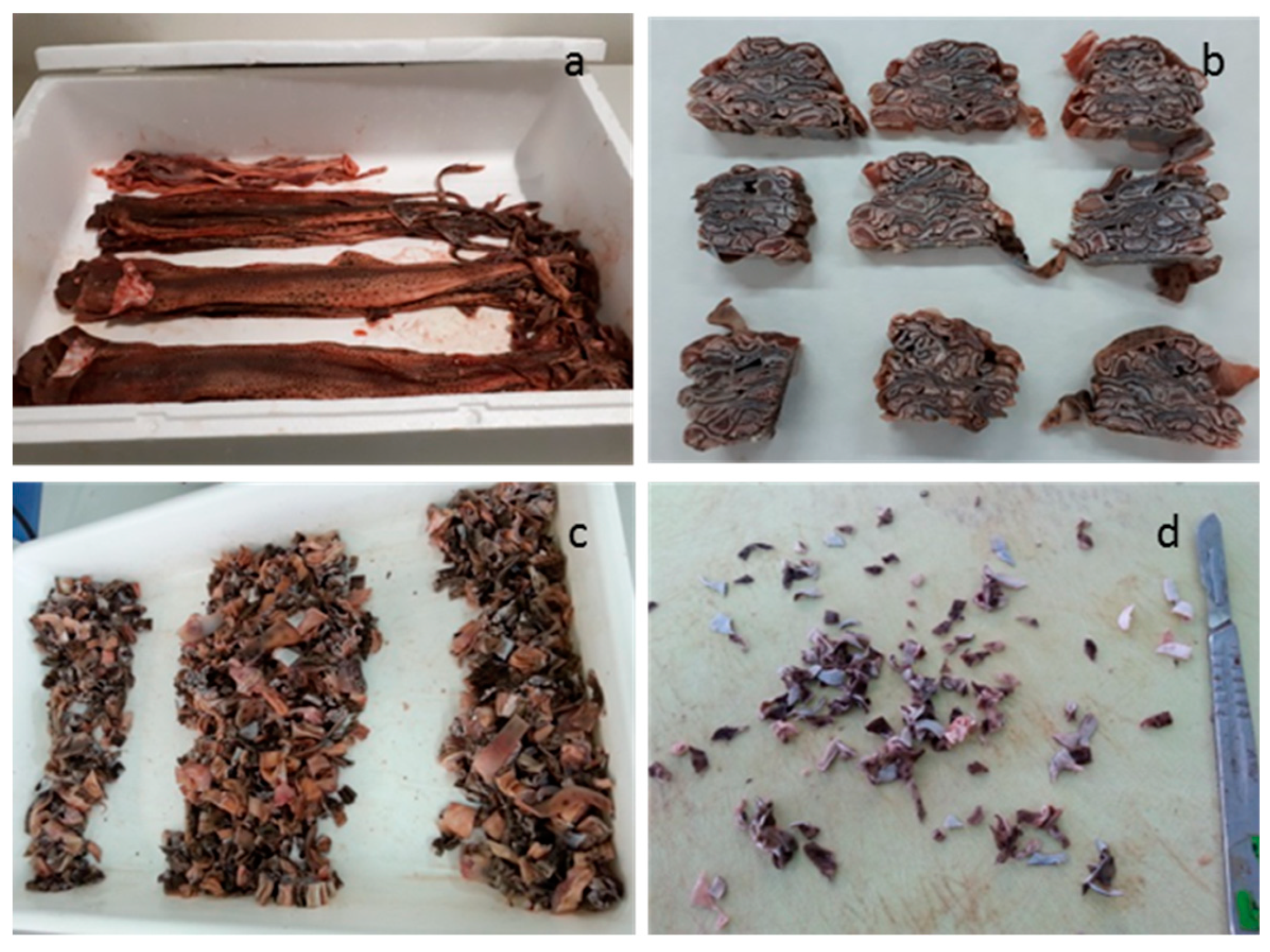 Marinedrugs 17 00040 g005