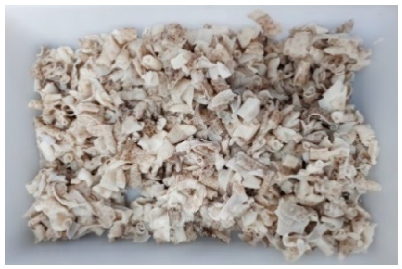 Marinedrugs 17 00040 g006