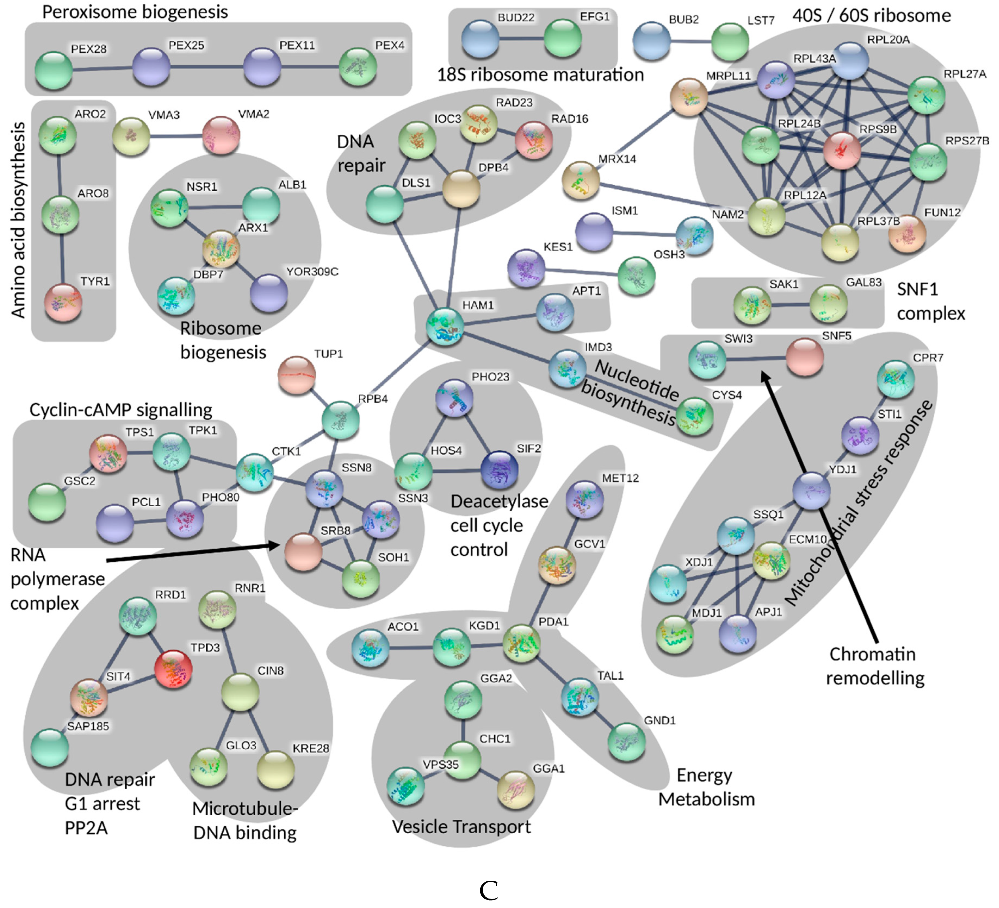 Marinedrugs 17 00054 g001b Marinedrugs 17 00054 g001b