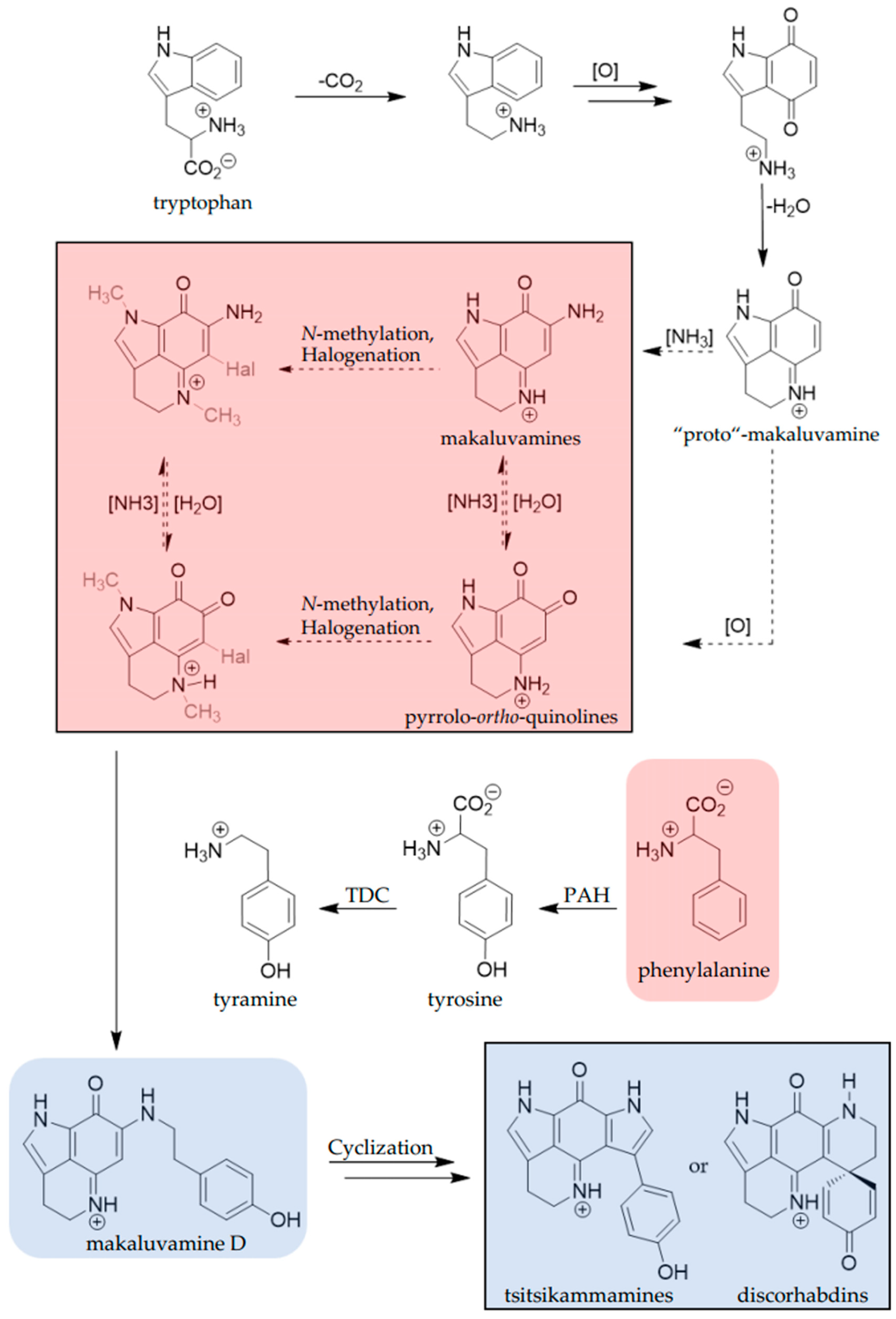 Marinedrugs 17 00060 g004