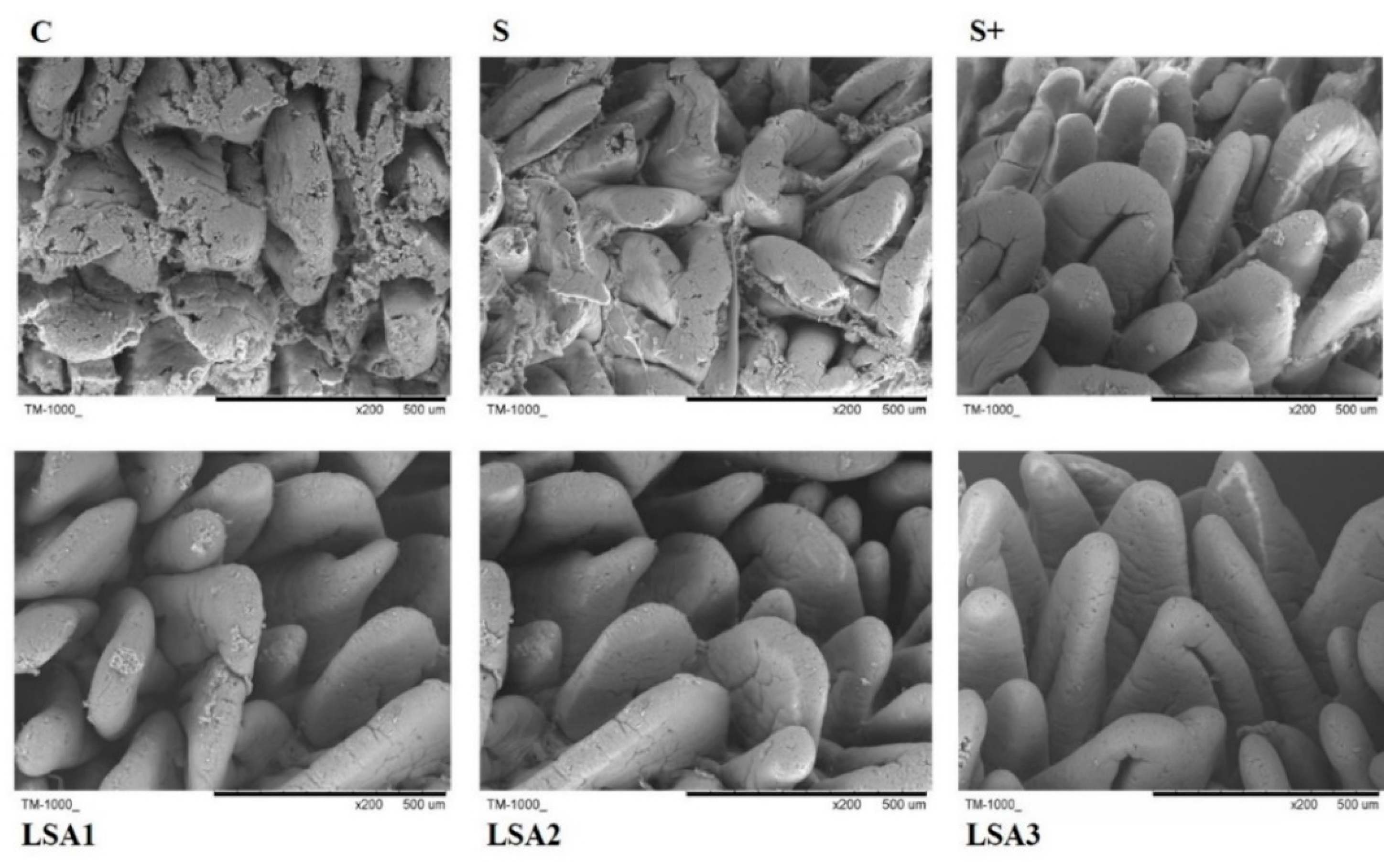 Marinedrugs 17 00064 g002