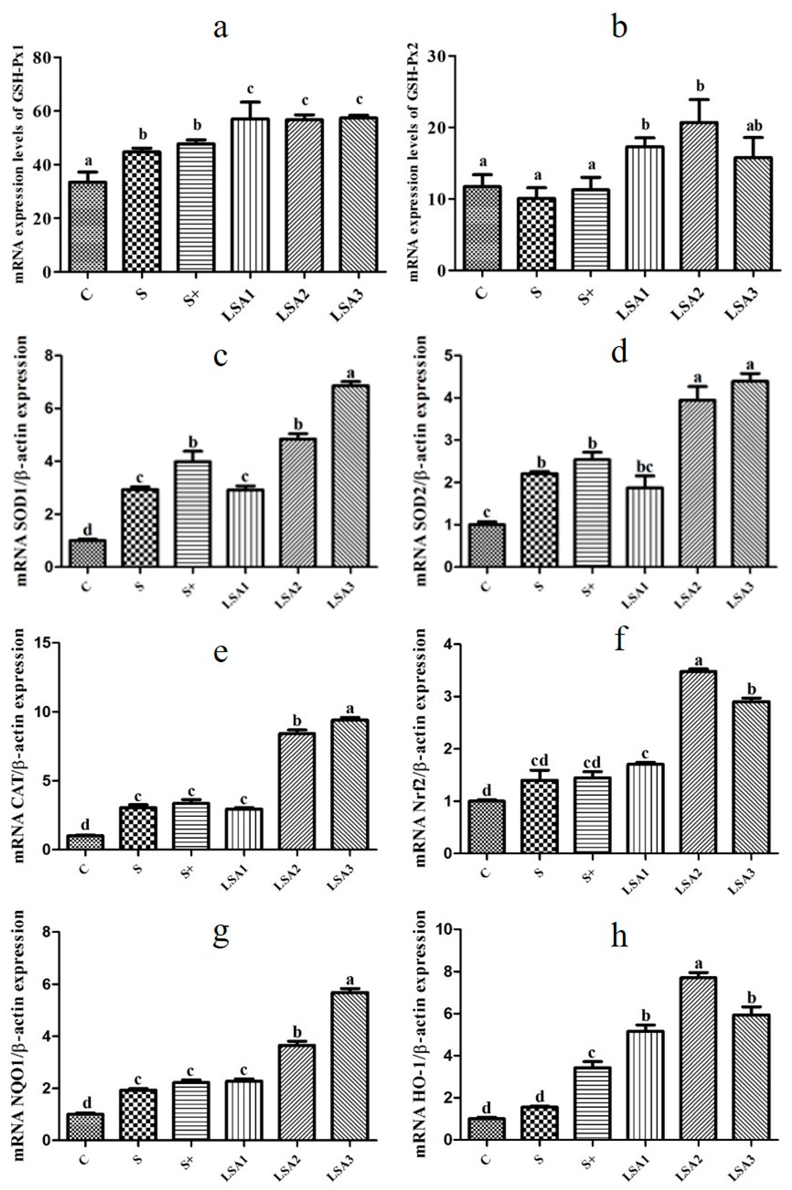 Marinedrugs 17 00064 g006