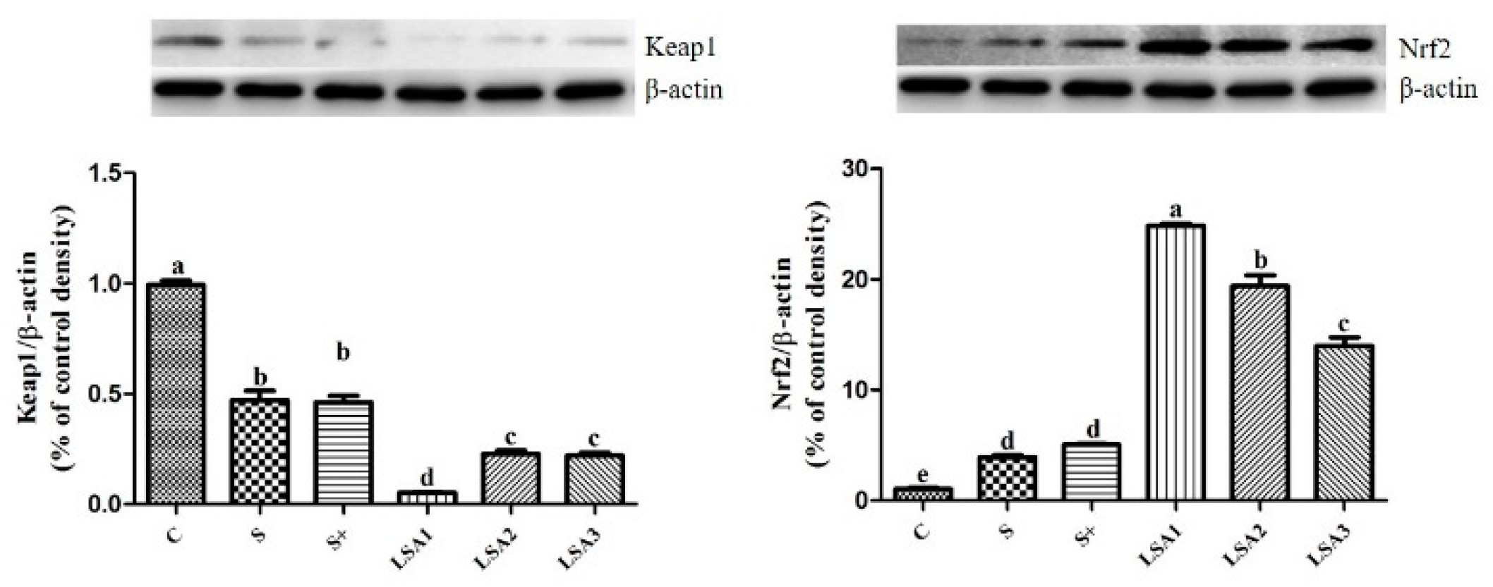 Marinedrugs 17 00064 g007