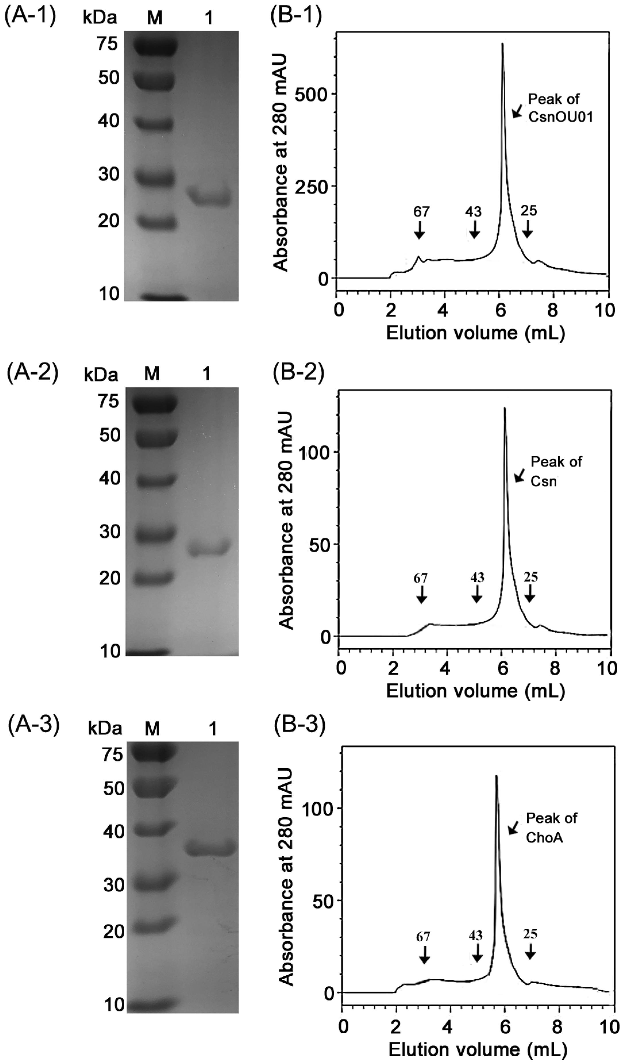 Marinedrugs 17 00068 g004 Marinedrugs 17 00068 g004