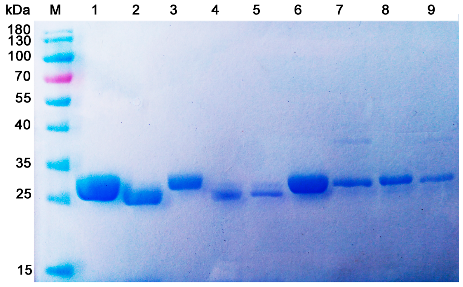 Marinedrugs 17 00068 g005 Marinedrugs 17 00068 g005