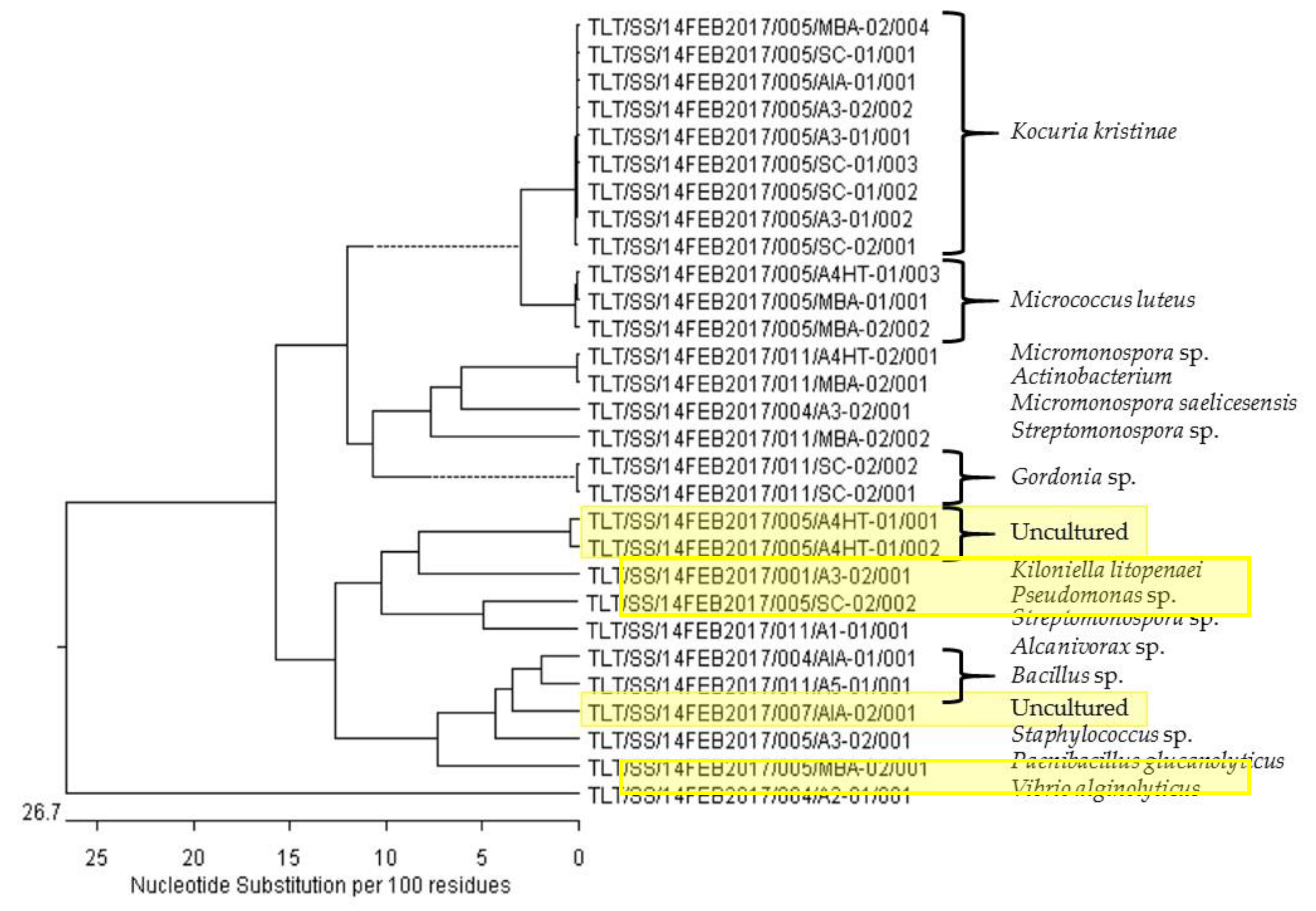 Marinedrugs 17 00072 g005