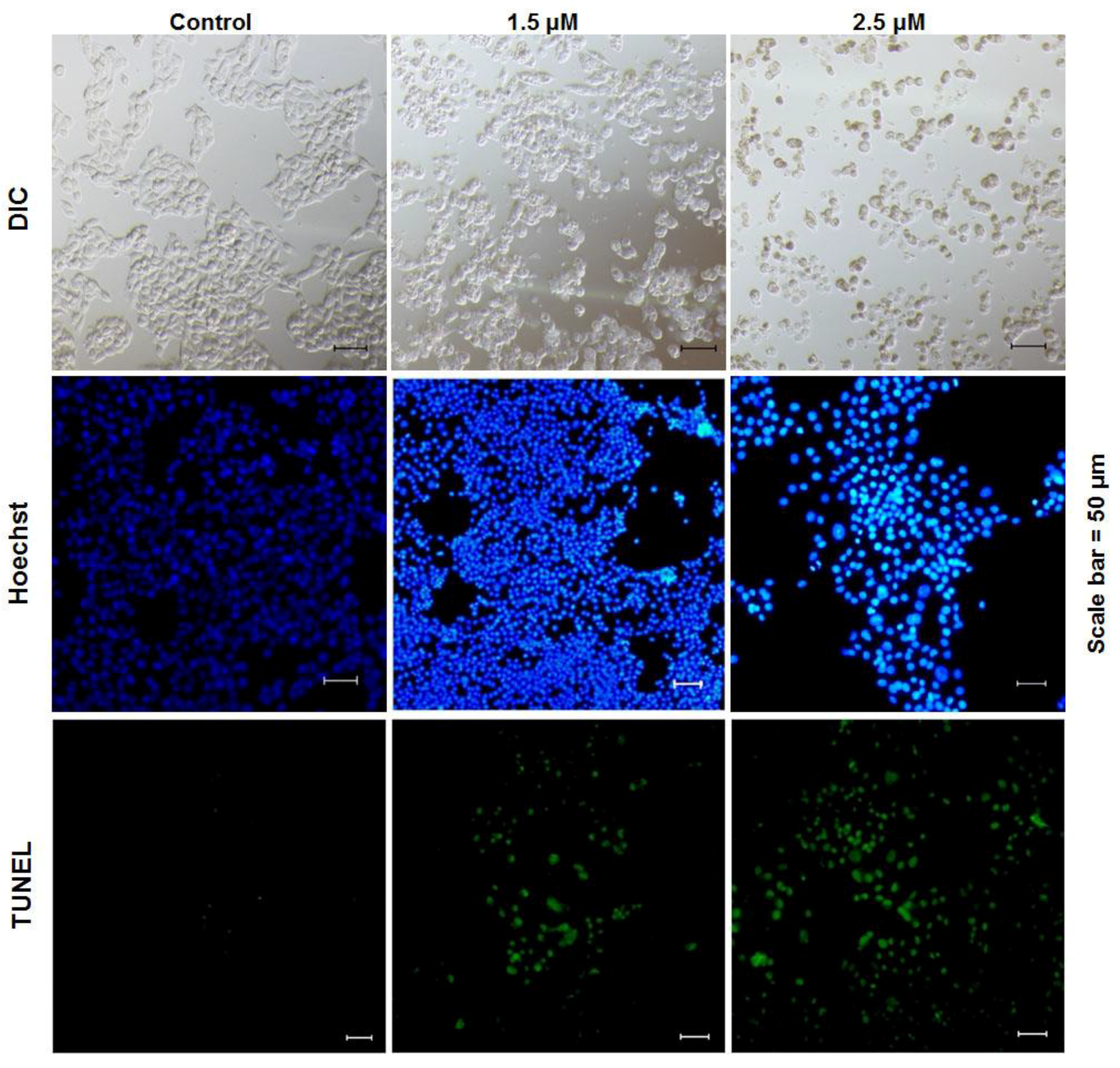 Marinedrugs 17 00075 g003