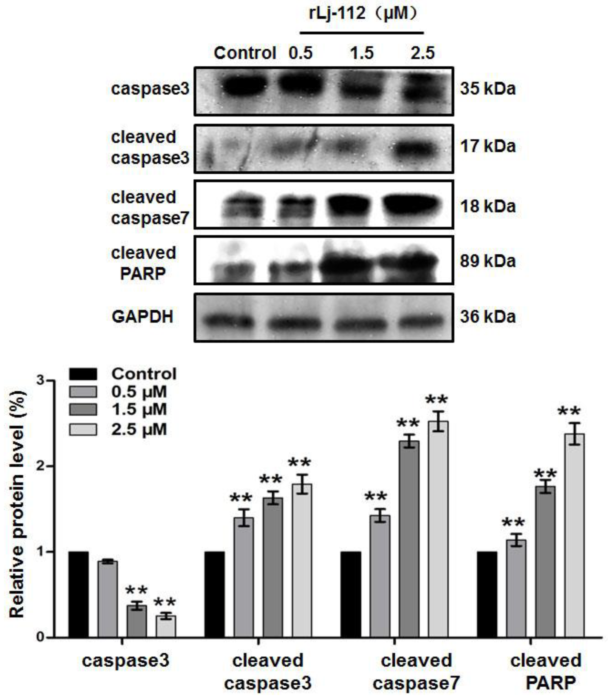 Marinedrugs 17 00075 g004
