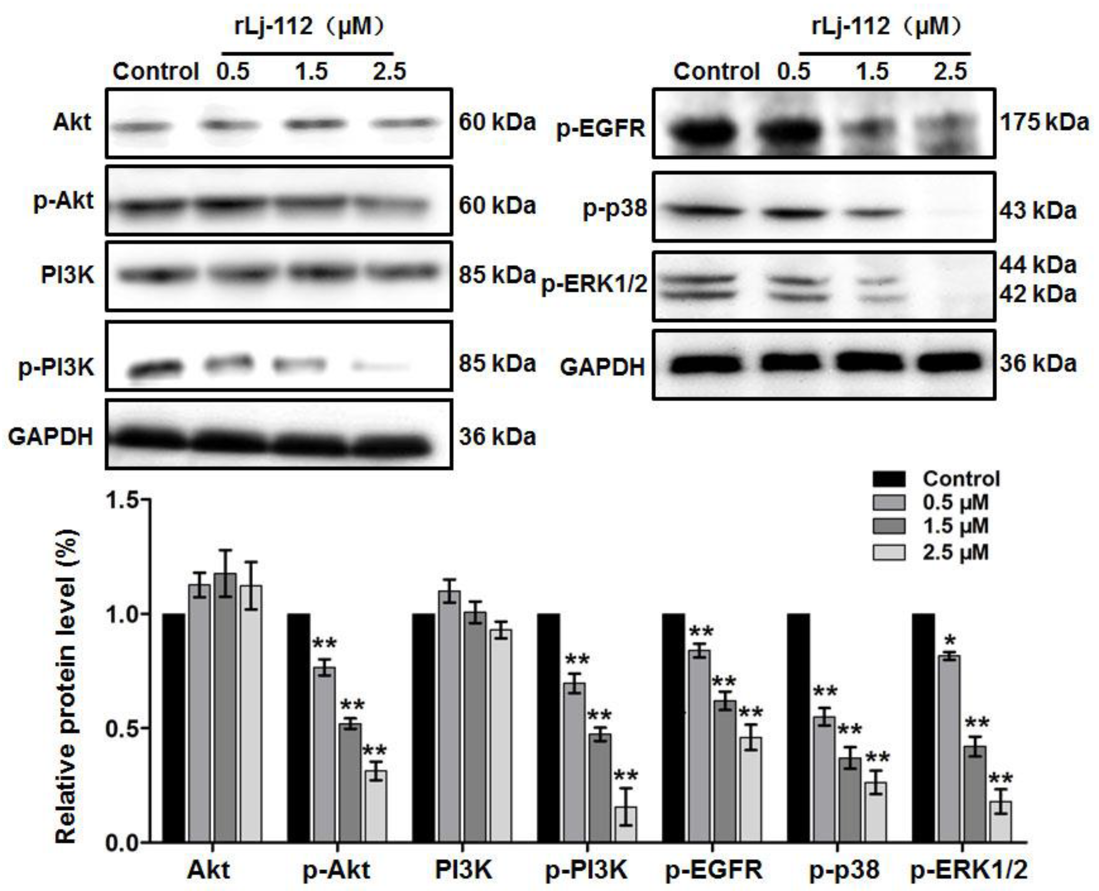 Marinedrugs 17 00075 g007