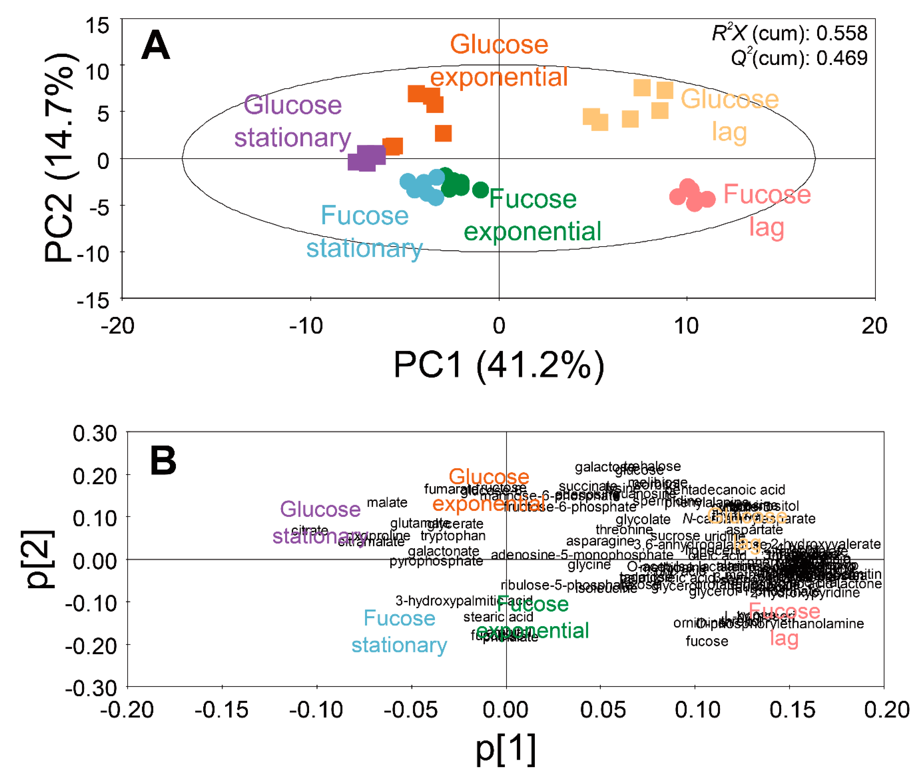 Marinedrugs 17 00082 g002