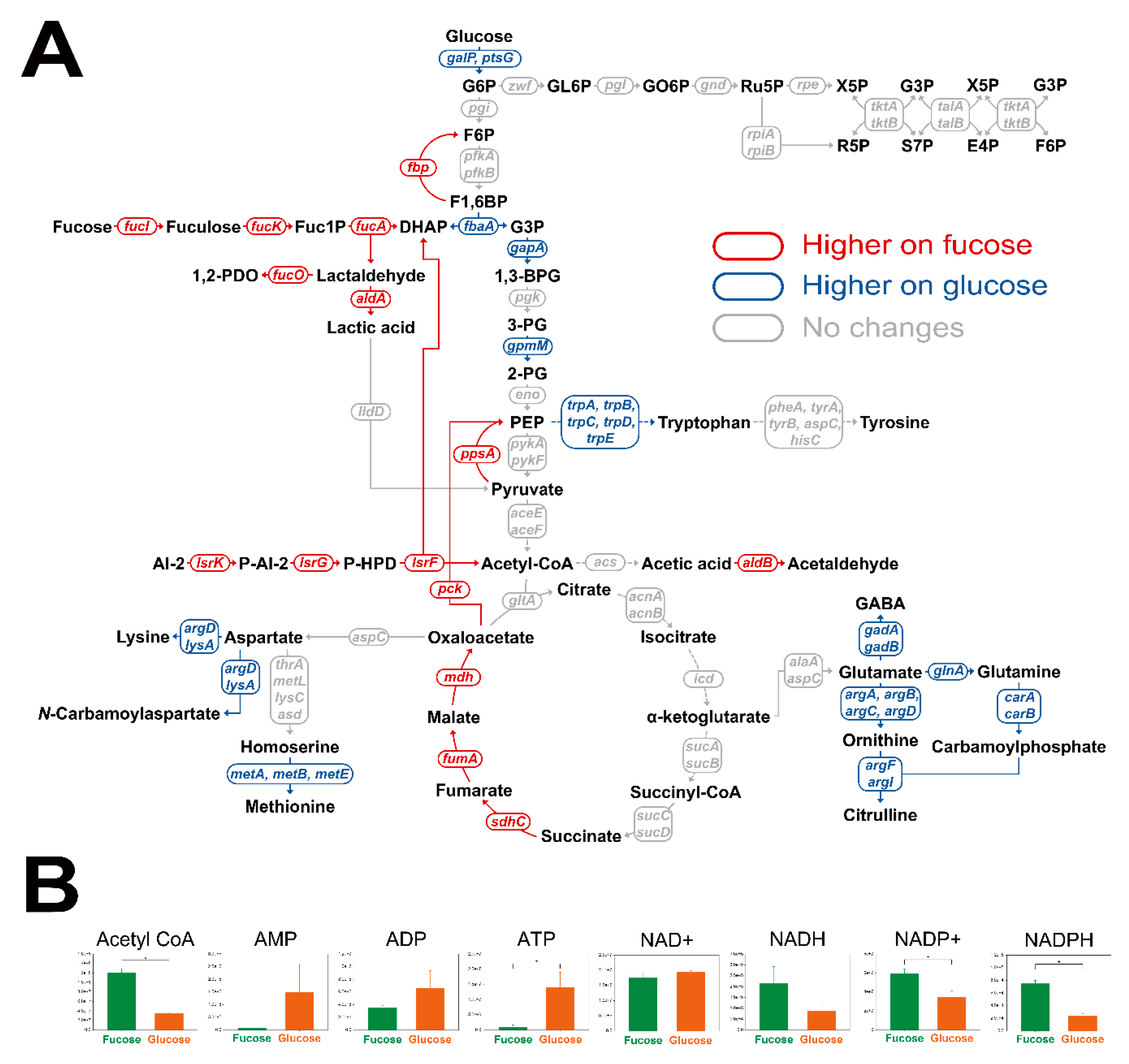 Marinedrugs 17 00082 g005