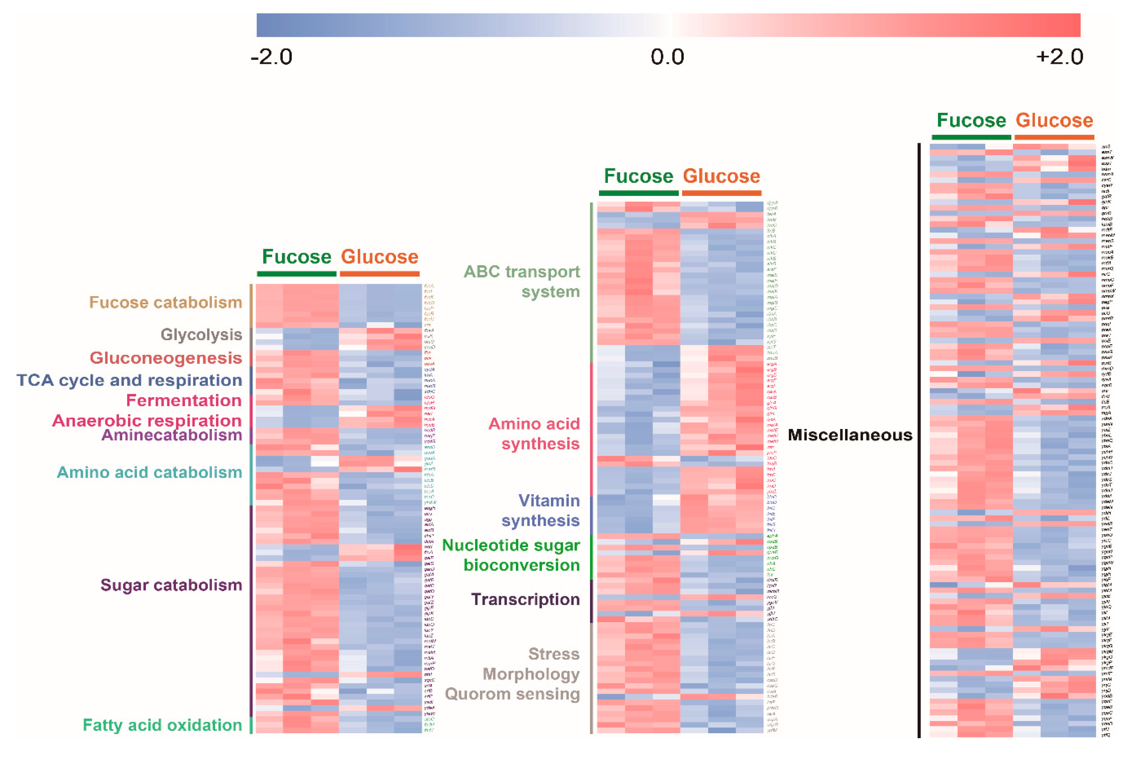 Marinedrugs 17 00082 g006