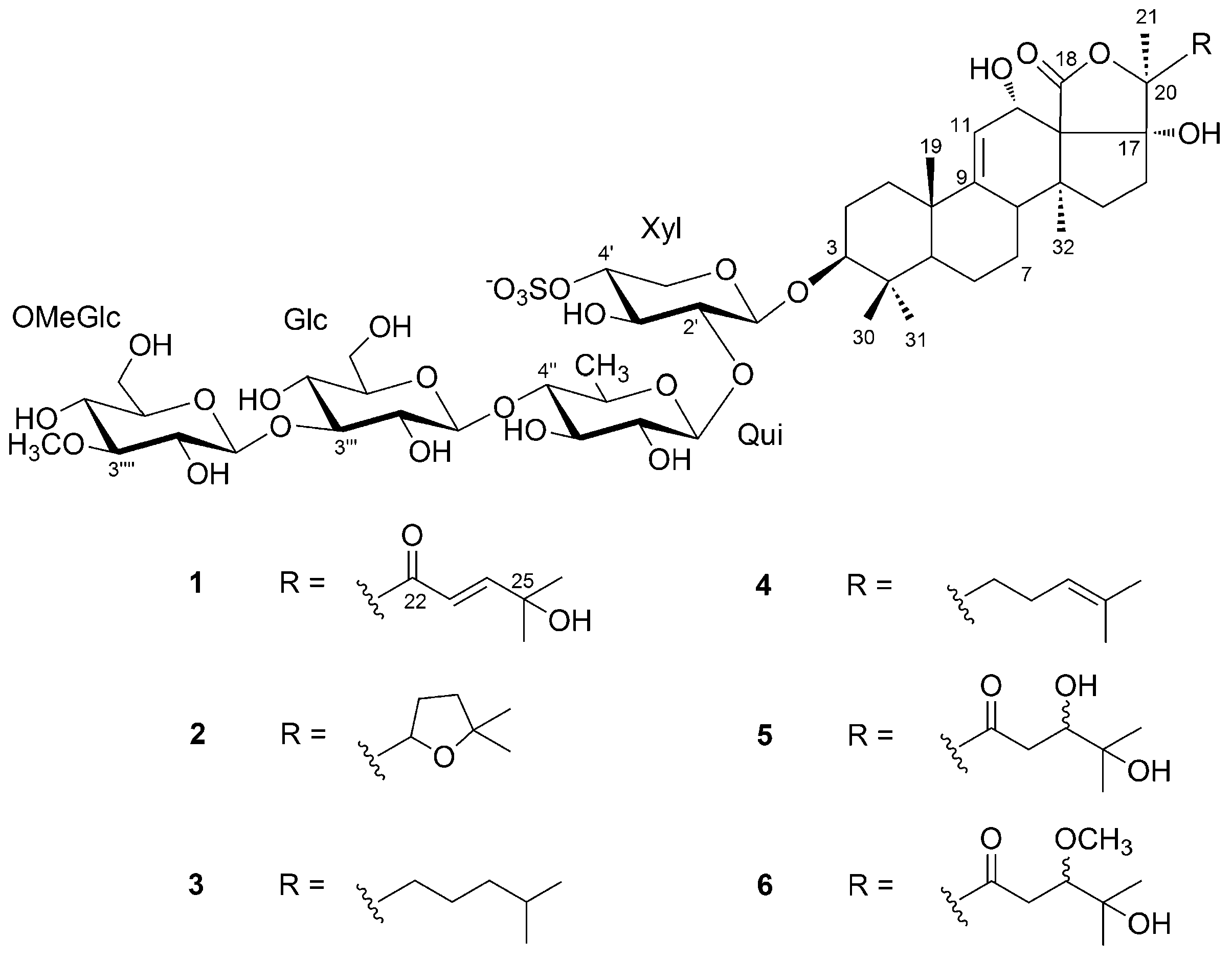 Marinedrugs 17 00086 g001
