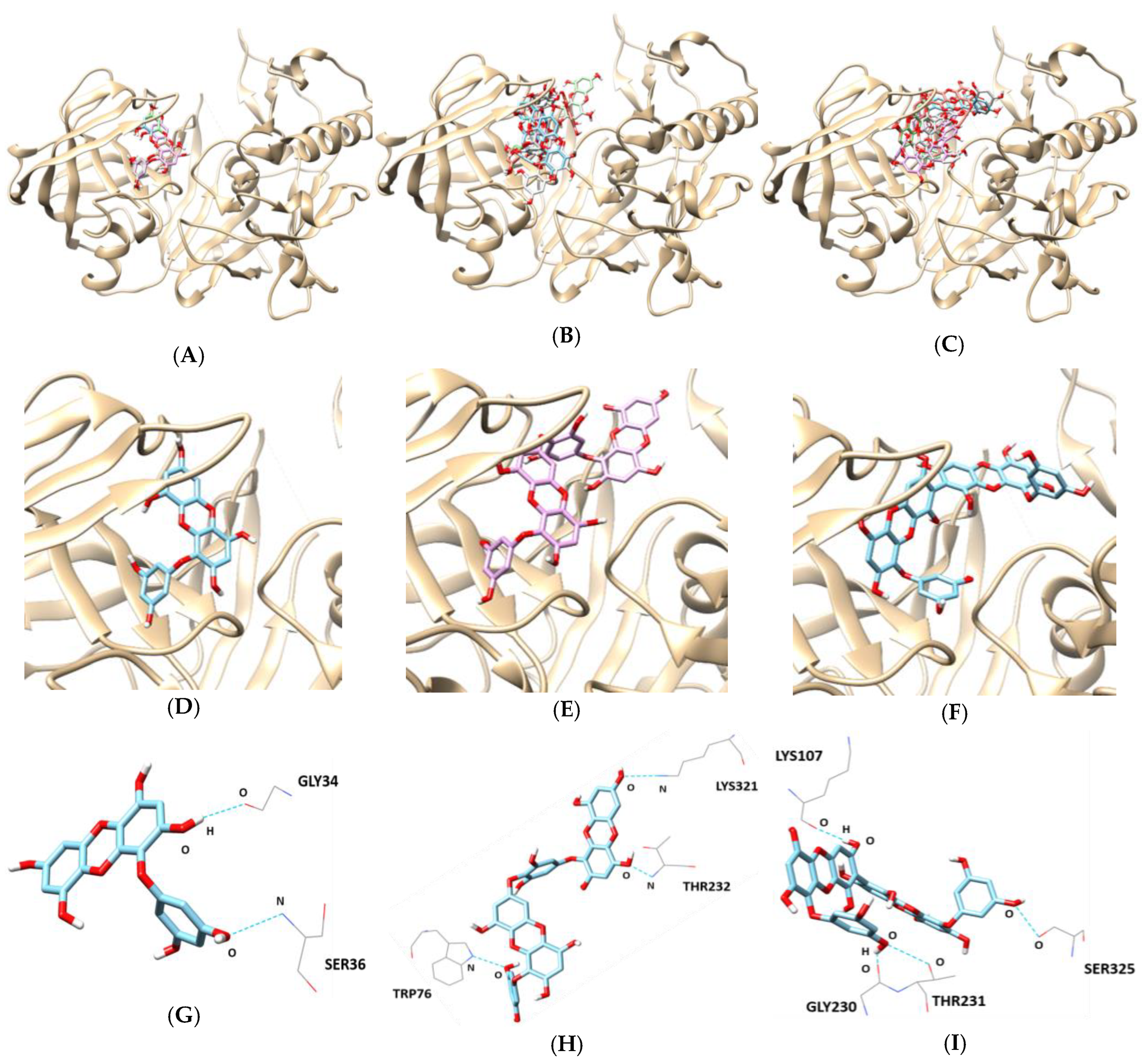 Marinedrugs 17 00091 g005