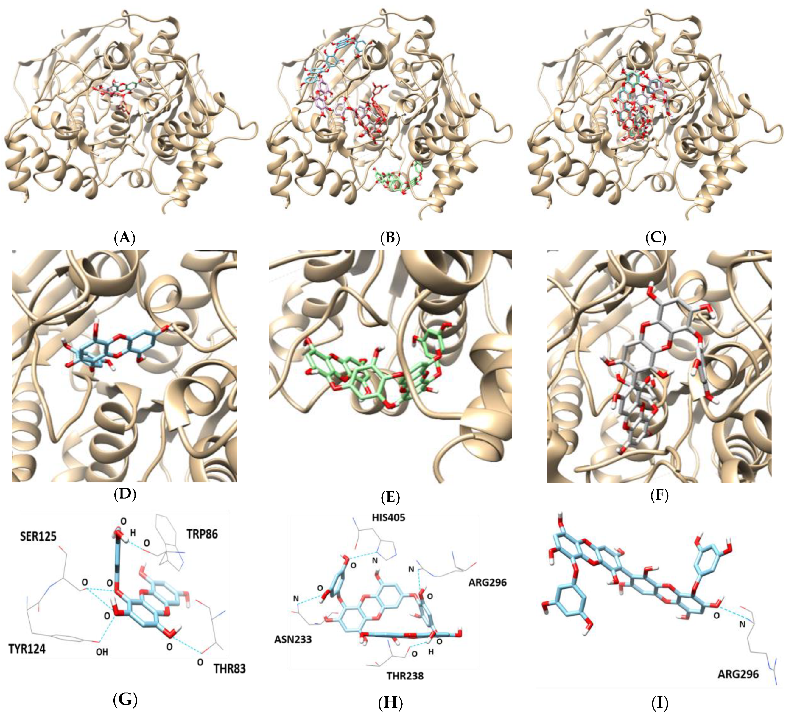 Marinedrugs 17 00091 g006