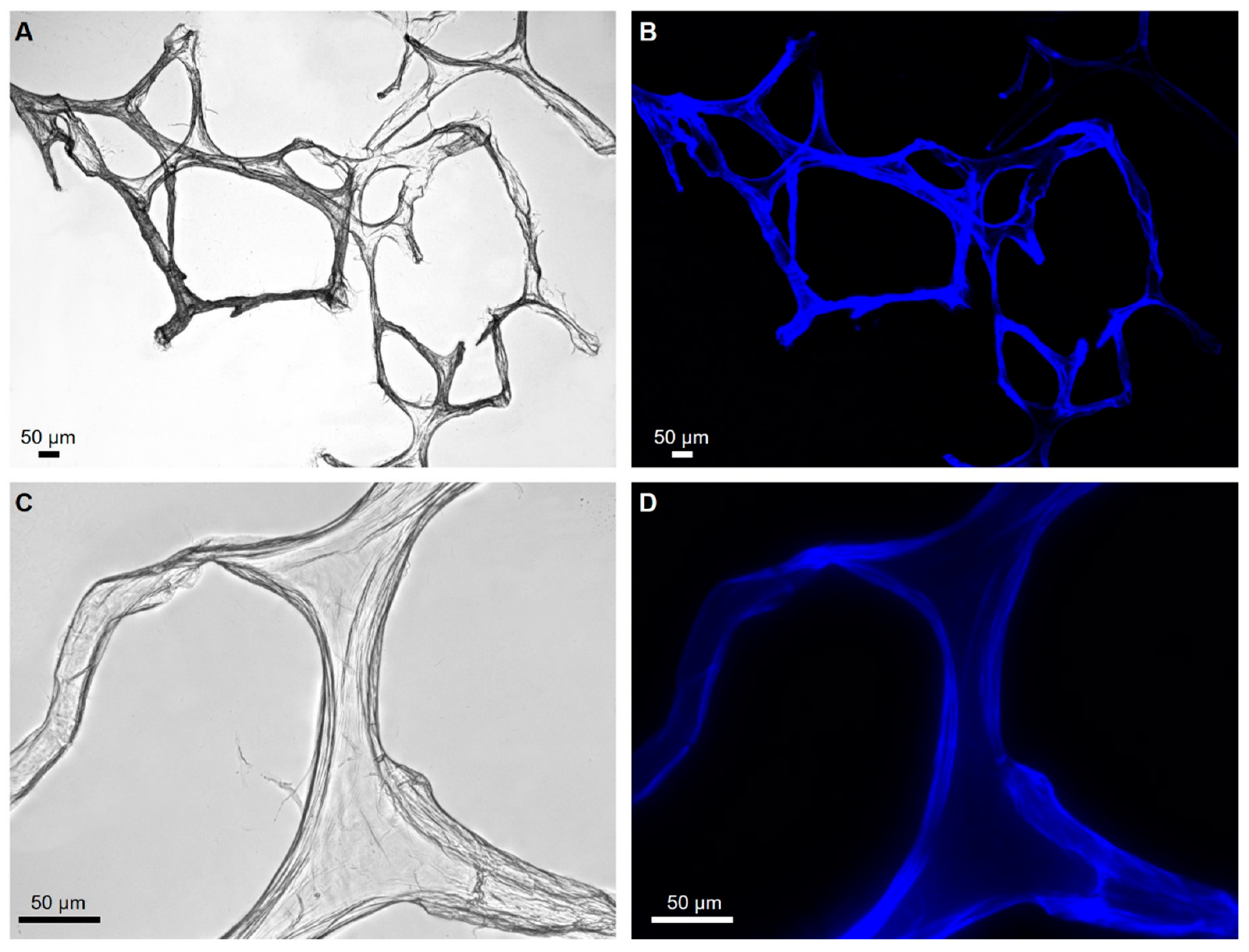 Marinedrugs 17 00092 g006