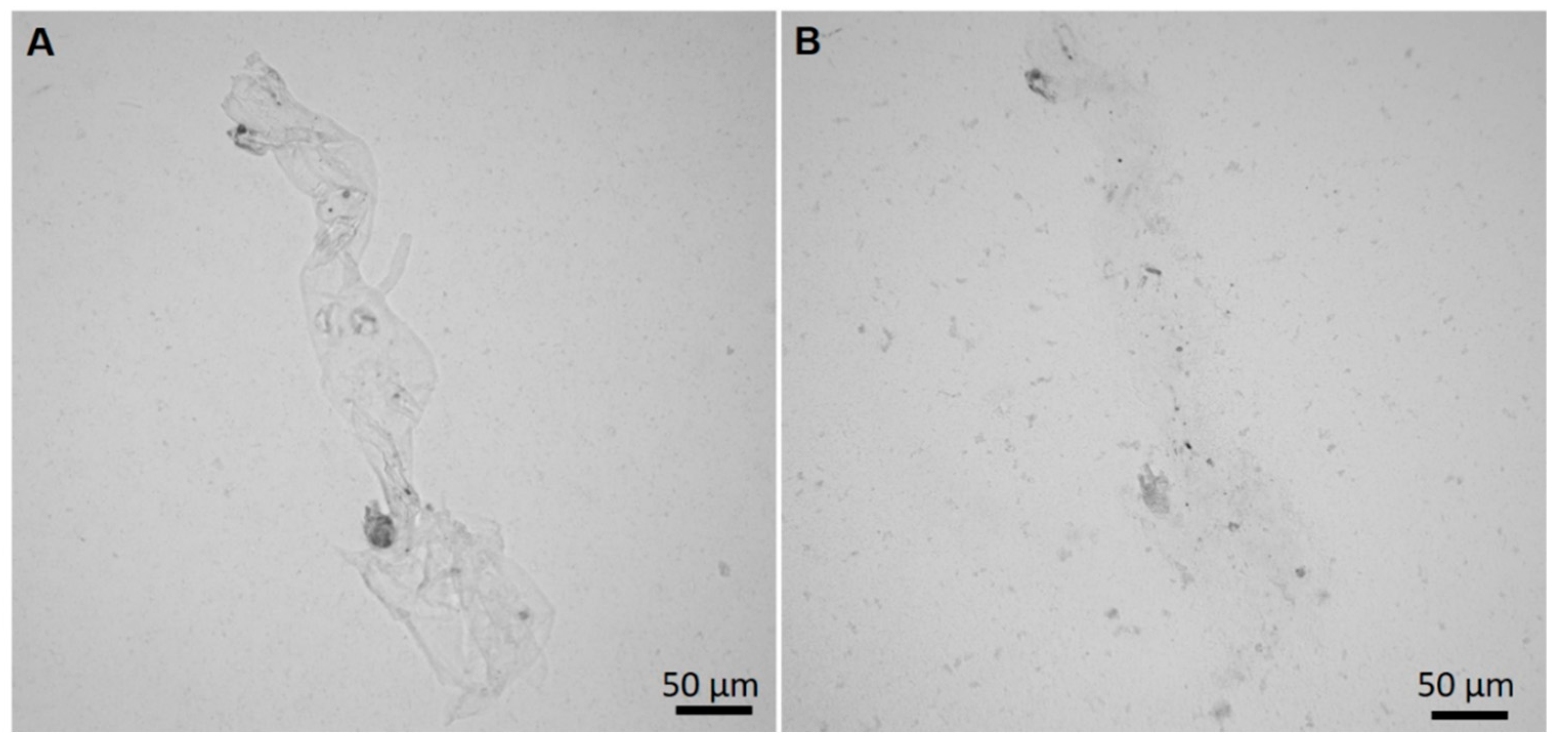 Marinedrugs 17 00092 g010