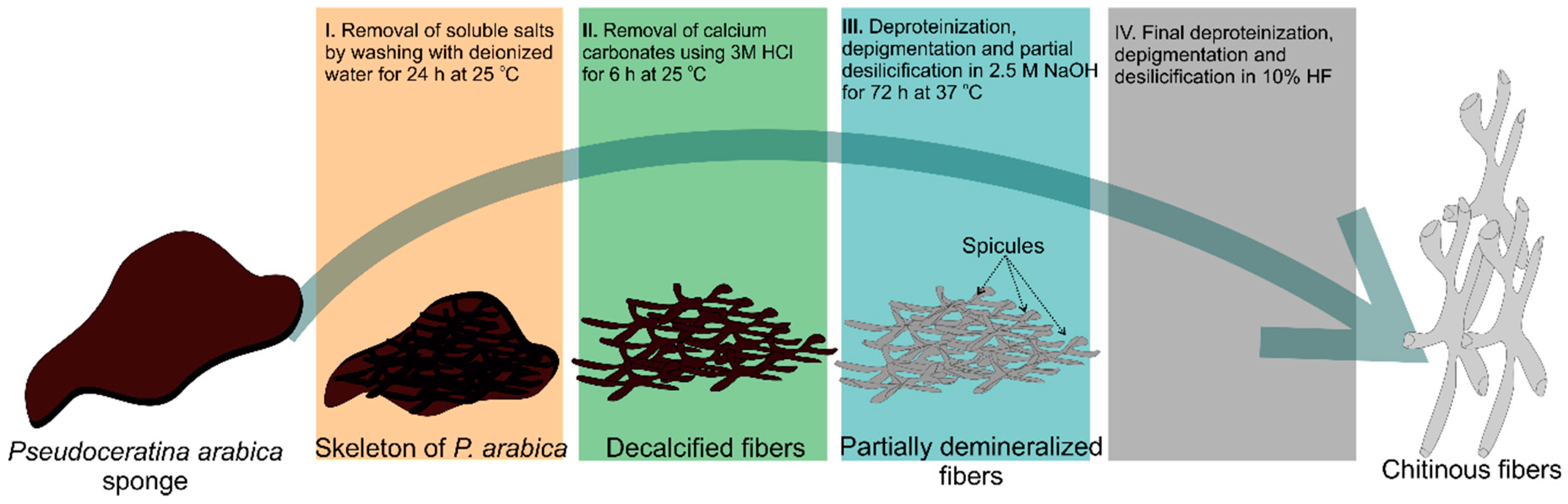 Marinedrugs 17 00092 g011