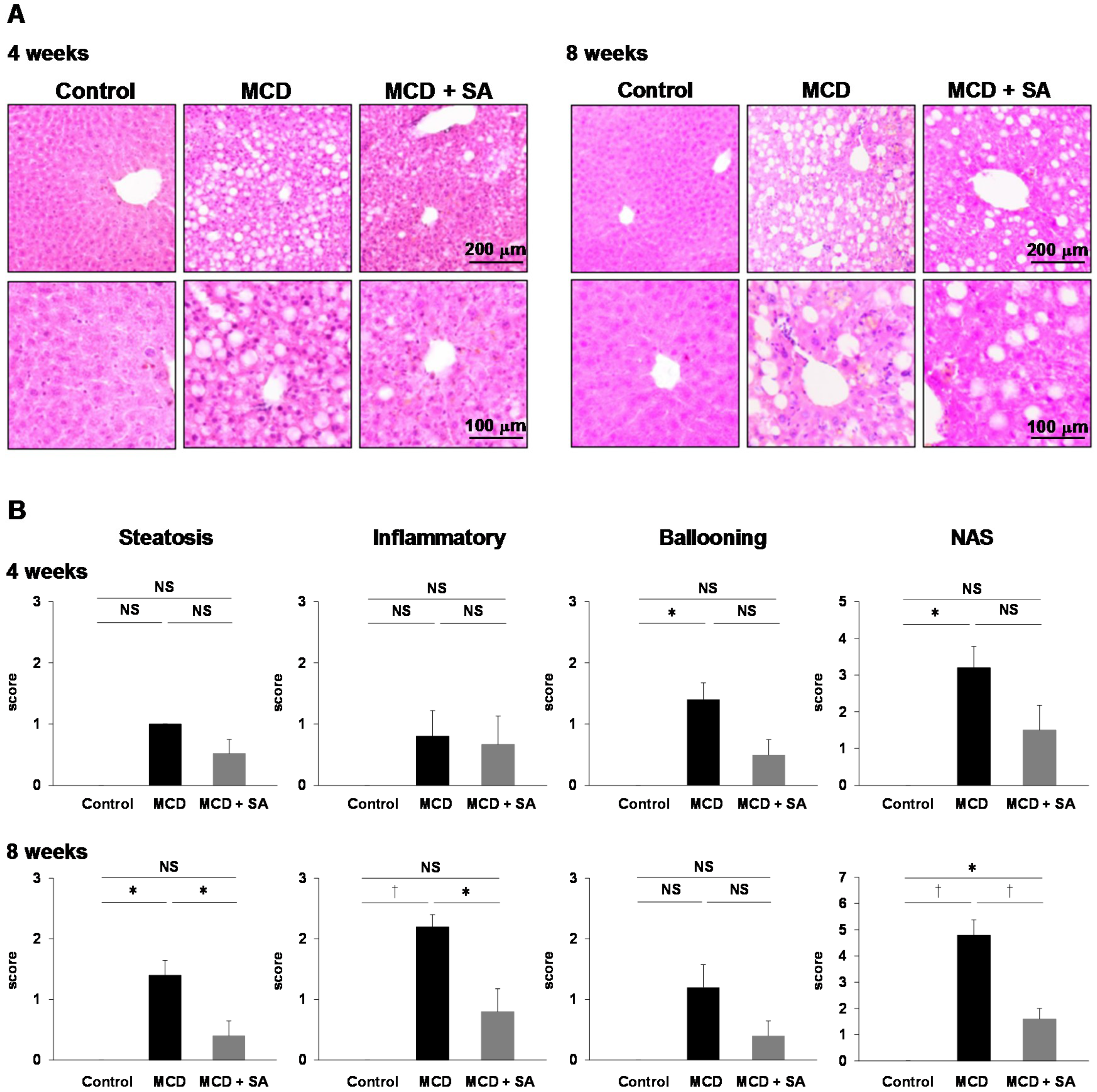 Marinedrugs 17 00104 g001