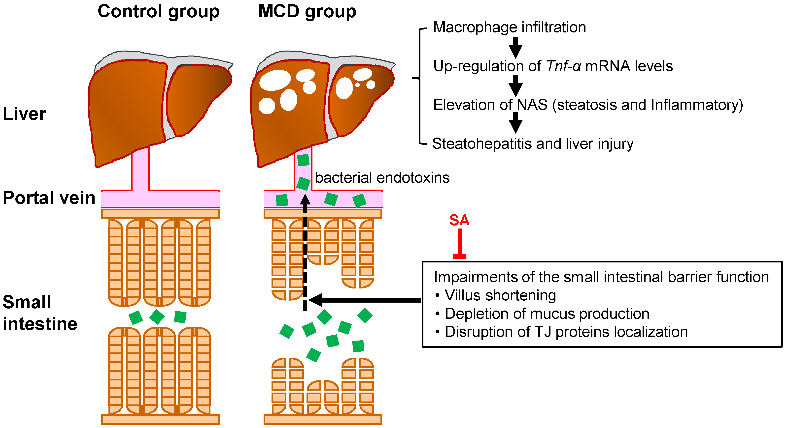 Marinedrugs 17 00104 g005