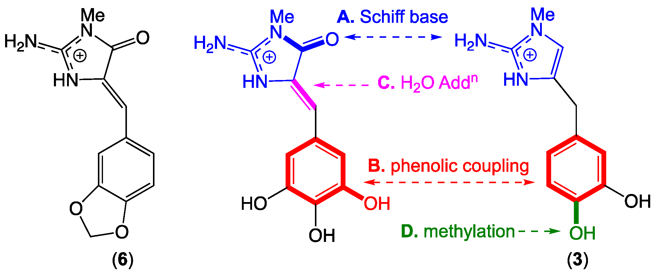Marinedrugs 17 00106 g007