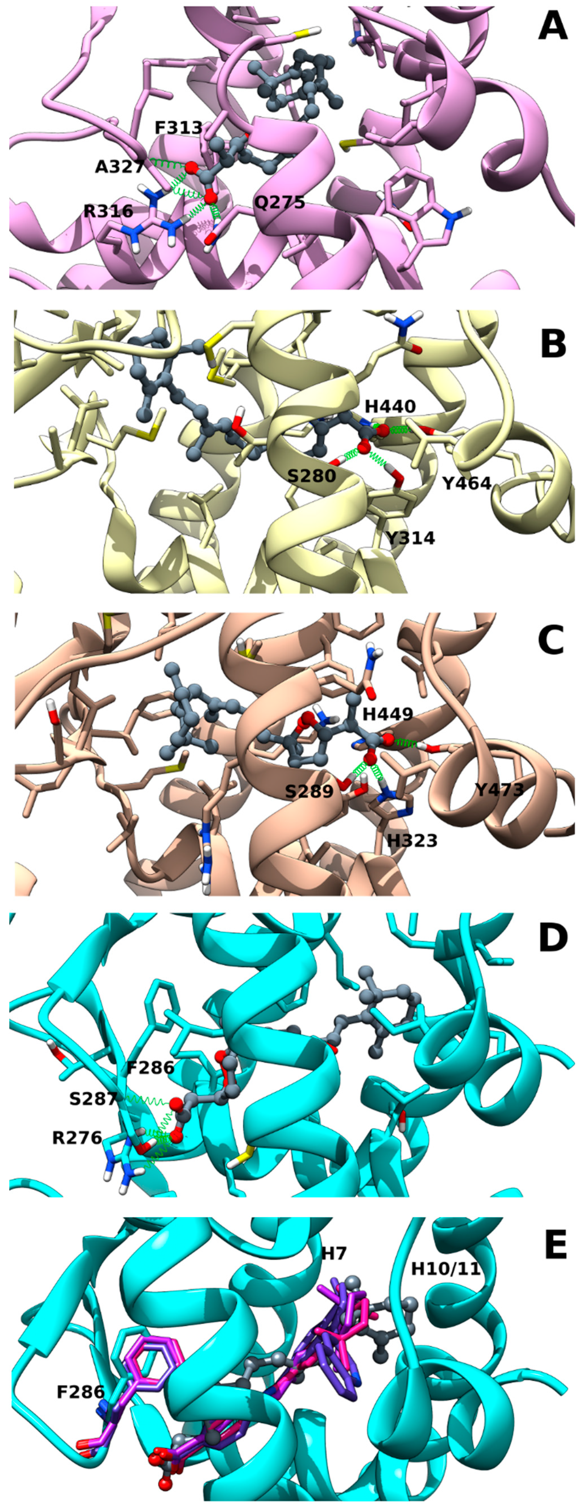Marinedrugs 17 00110 g002
