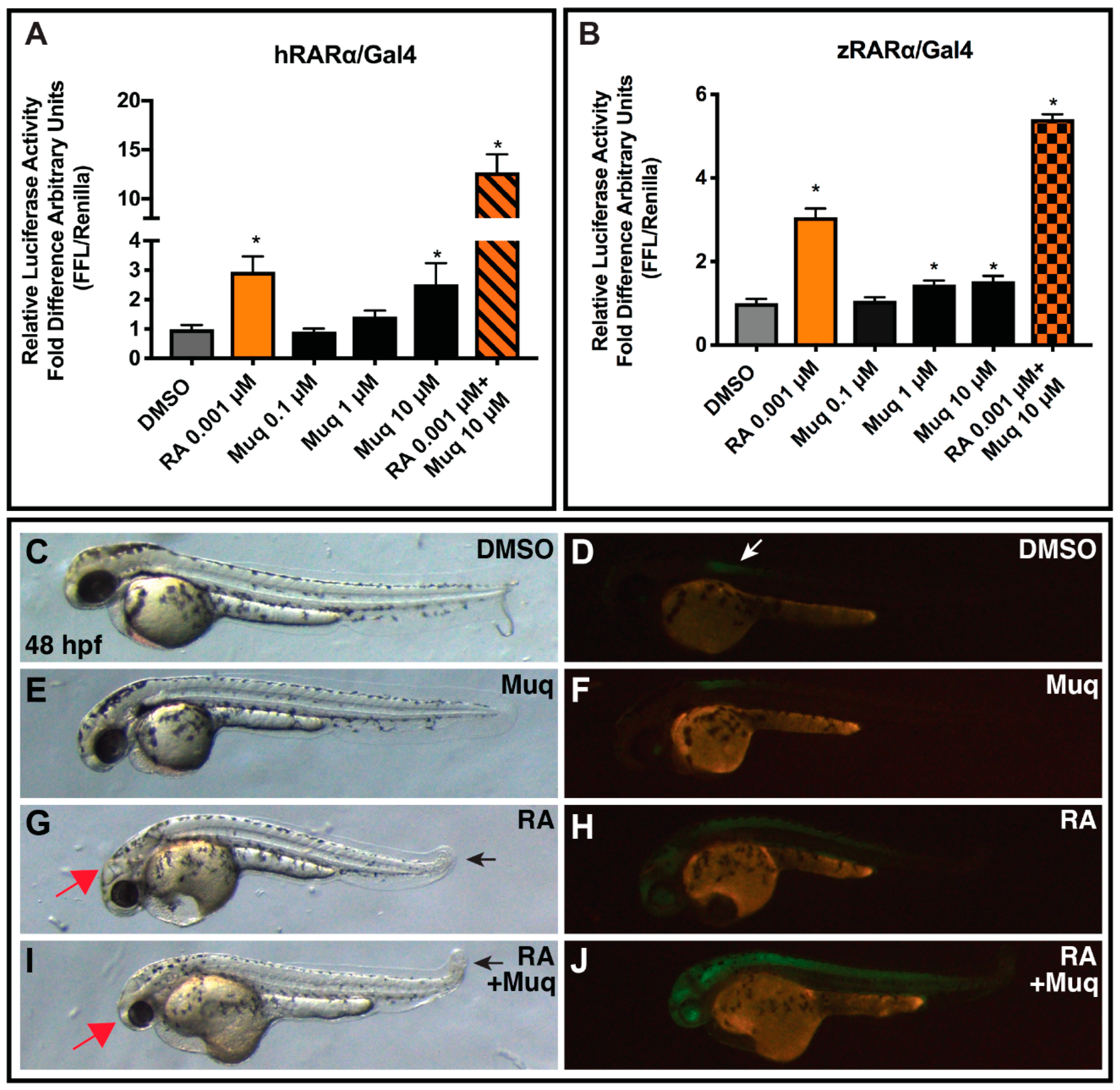 Marinedrugs 17 00110 g004