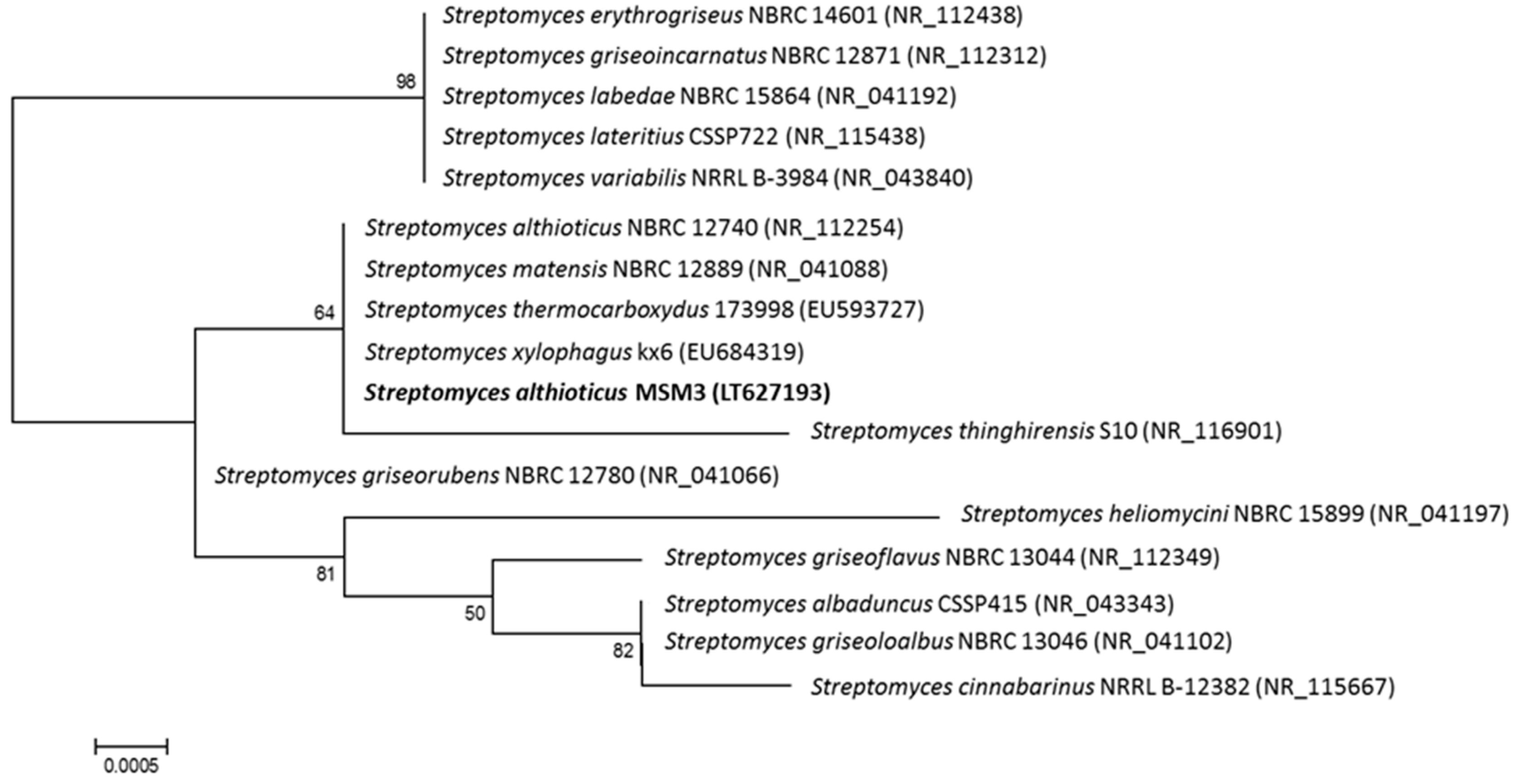 Marinedrugs 17 00114 g001