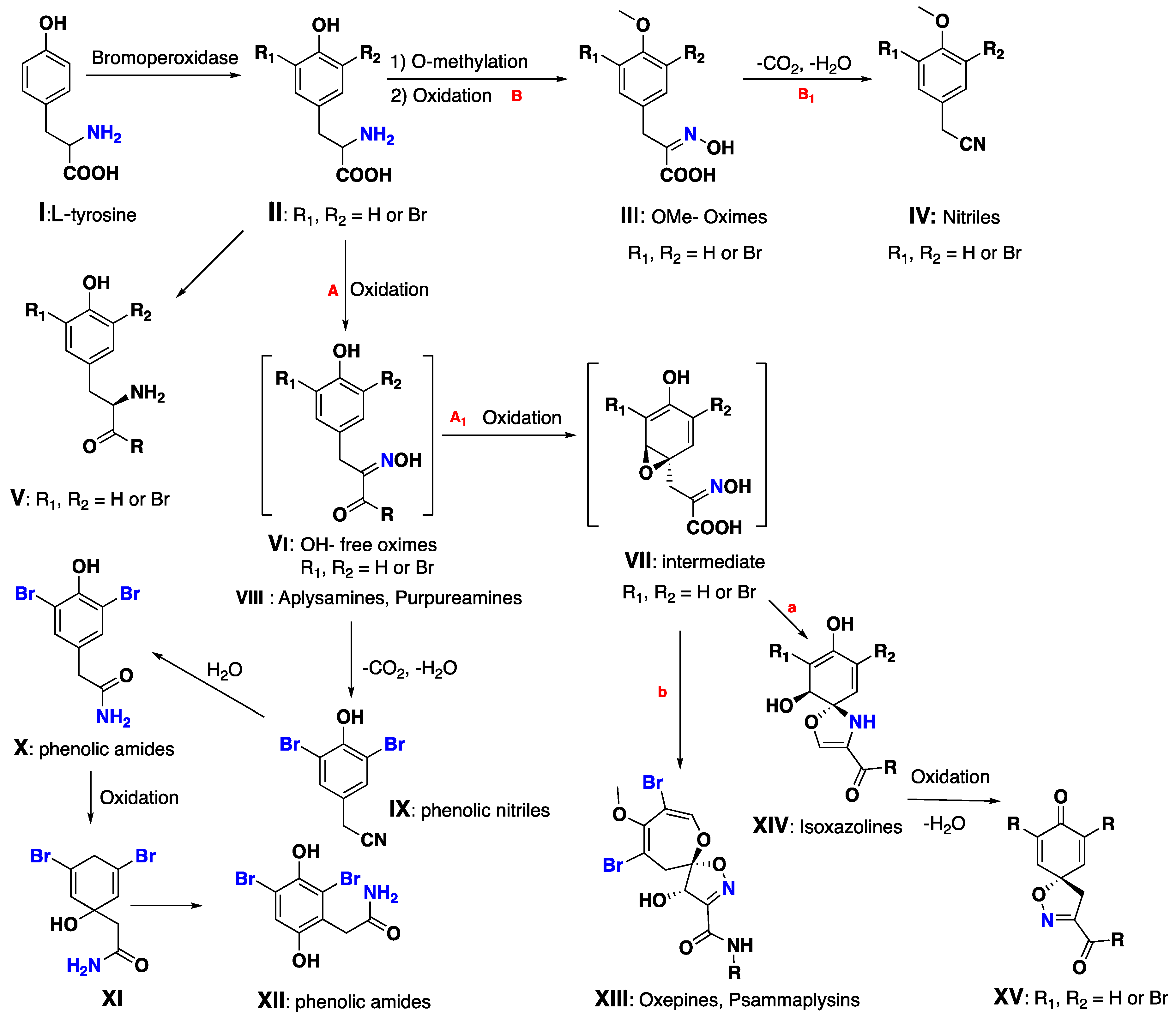Marinedrugs 17 00115 g010