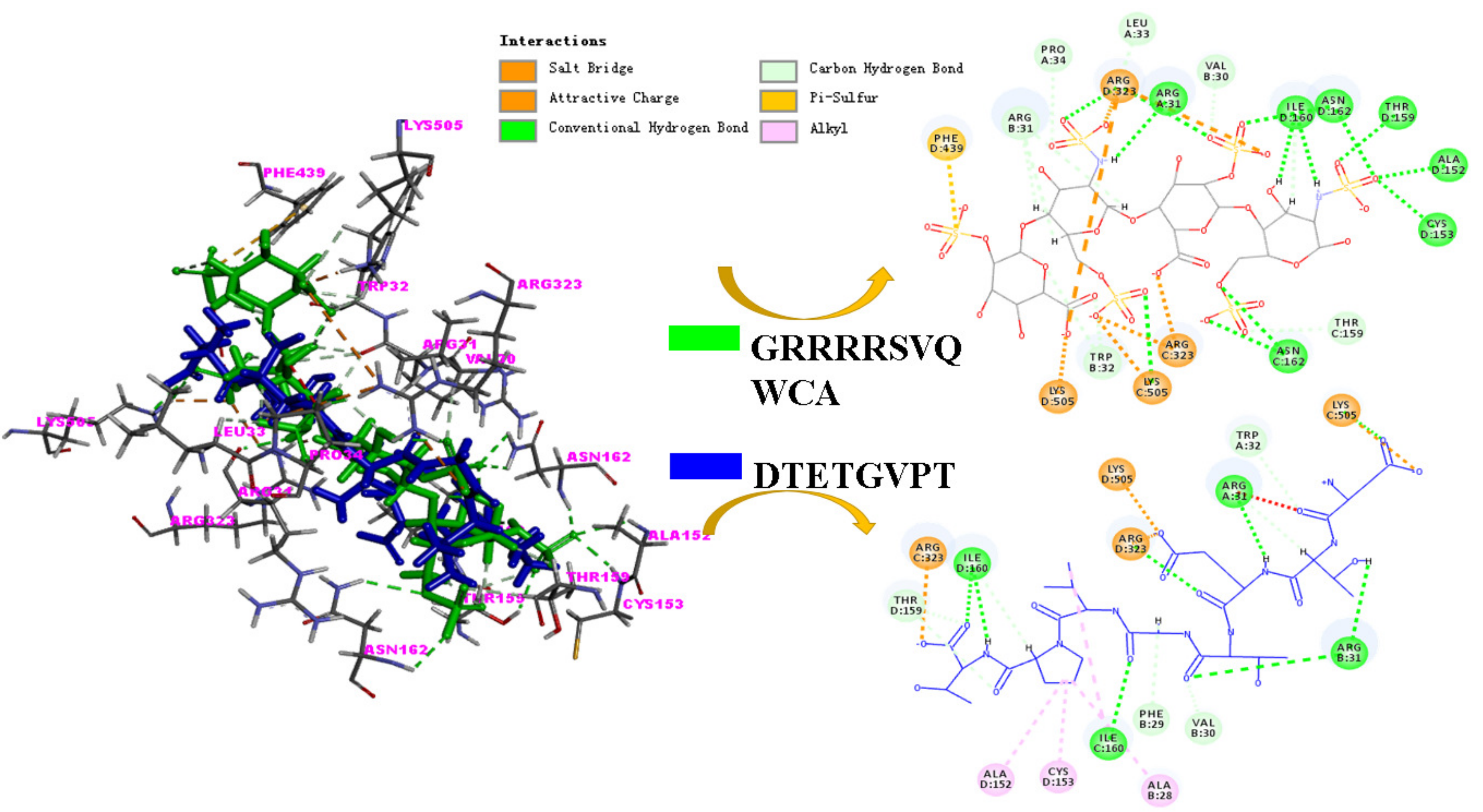 Marinedrugs 17 00116 g004 Marinedrugs 17 00116 g004