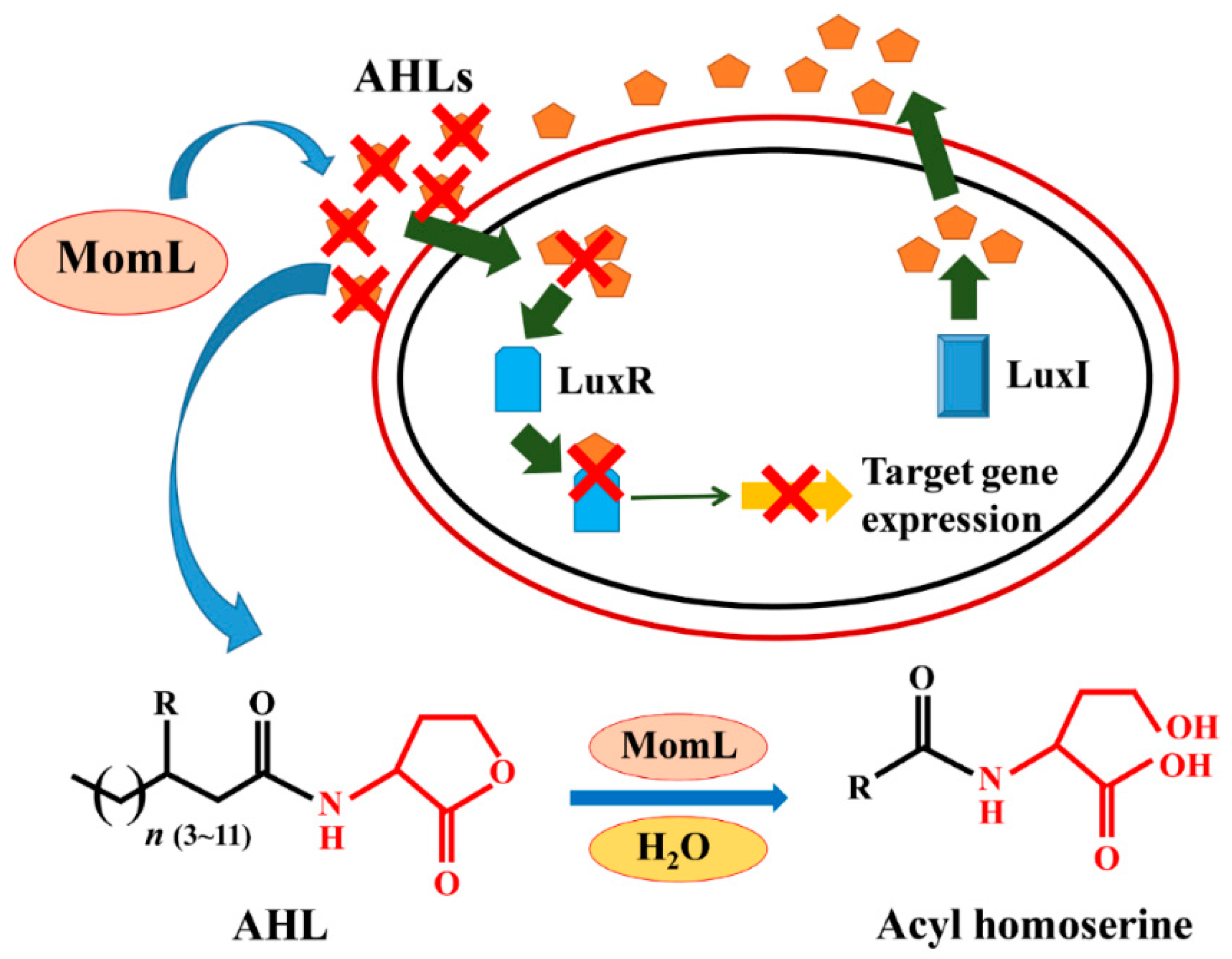 Marinedrugs 17 00128 g001