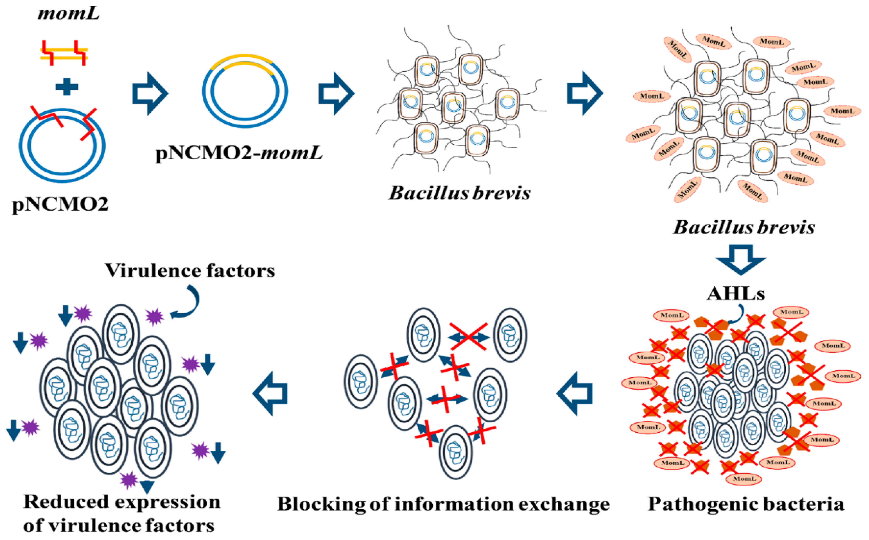 Marinedrugs 17 00128 g009
