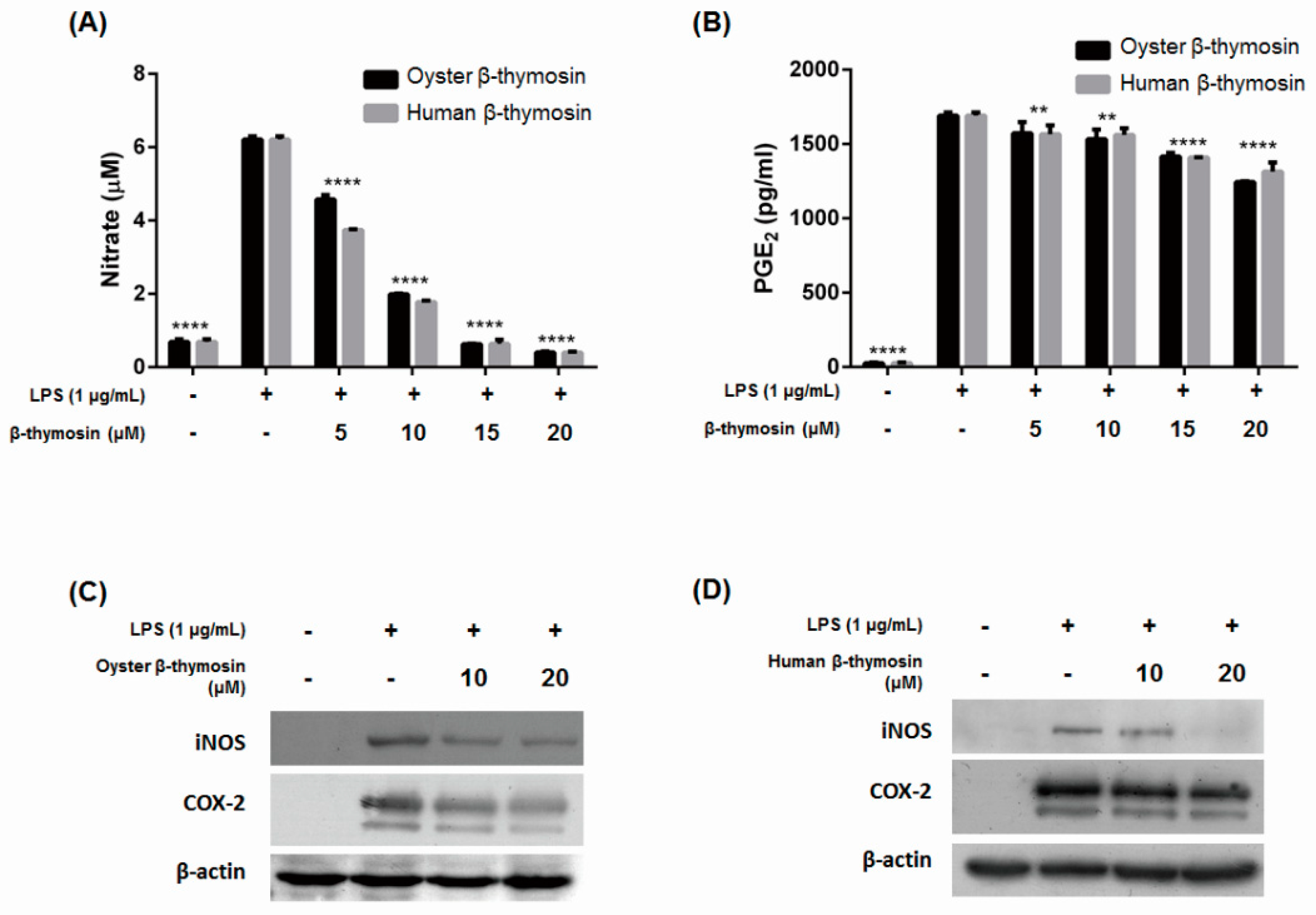 Marinedrugs 17 00129 g002