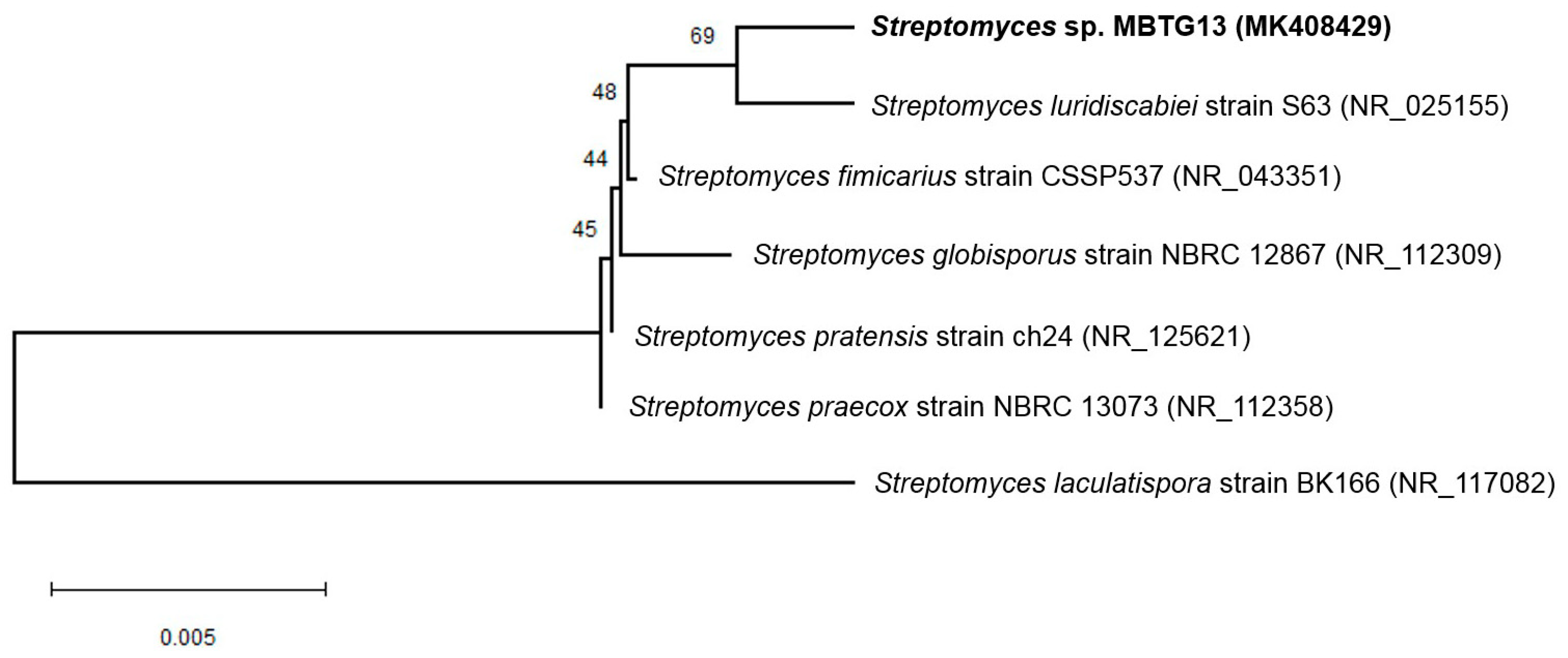 Marinedrugs 17 00133 g001