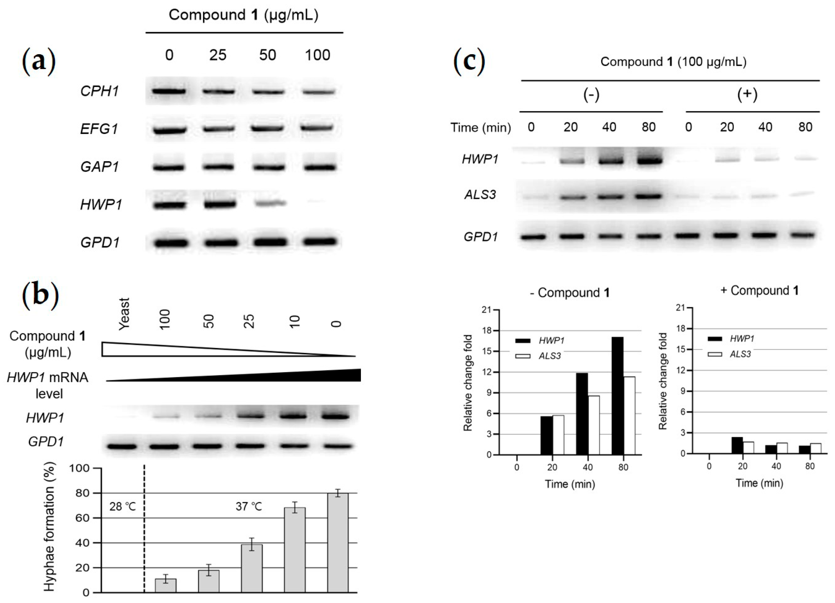 Marinedrugs 17 00133 g004