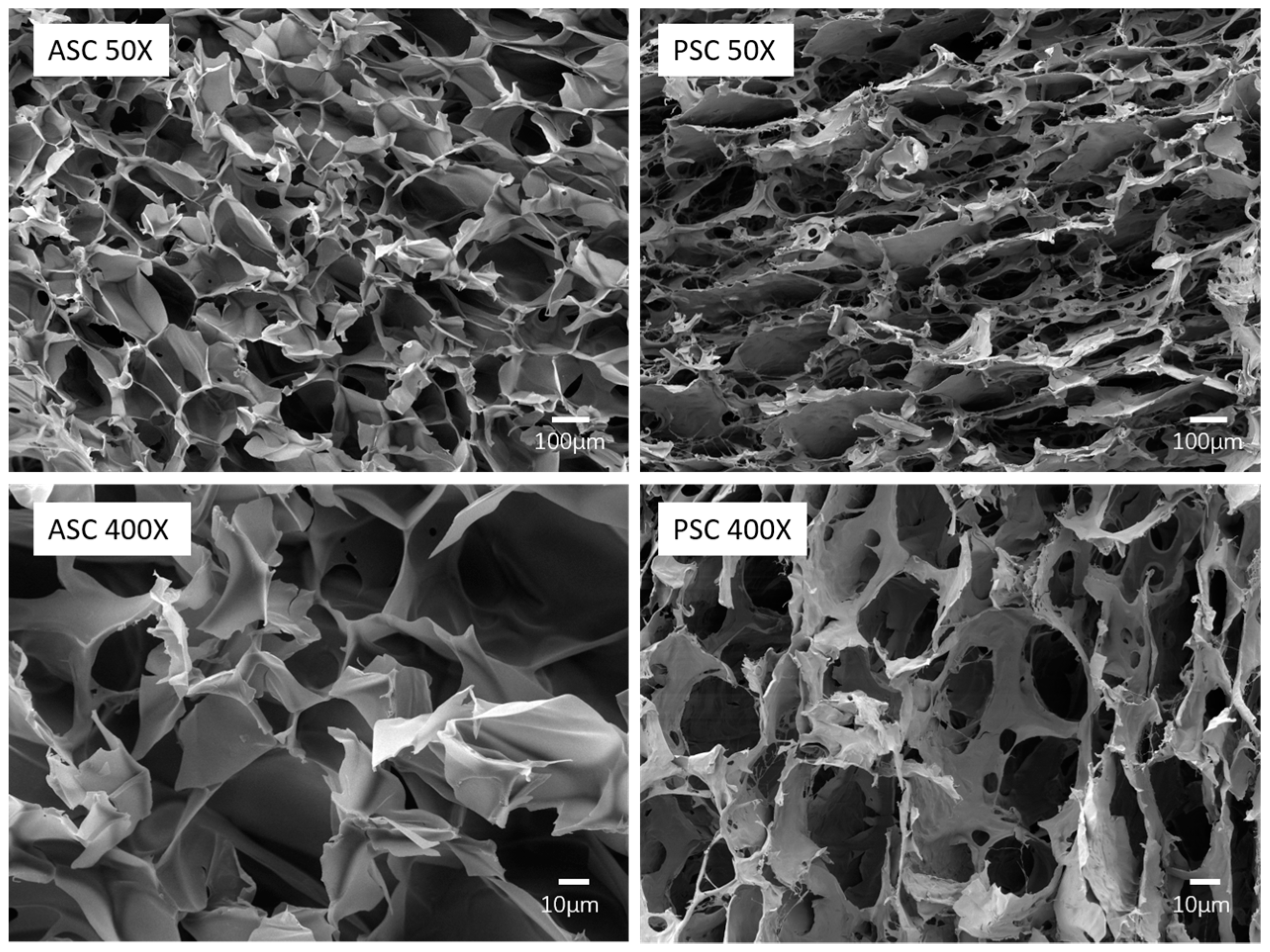 Marinedrugs 17 00137 g004