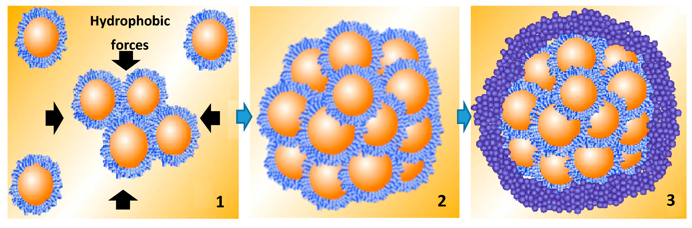 Marinedrugs 17 00143 g007