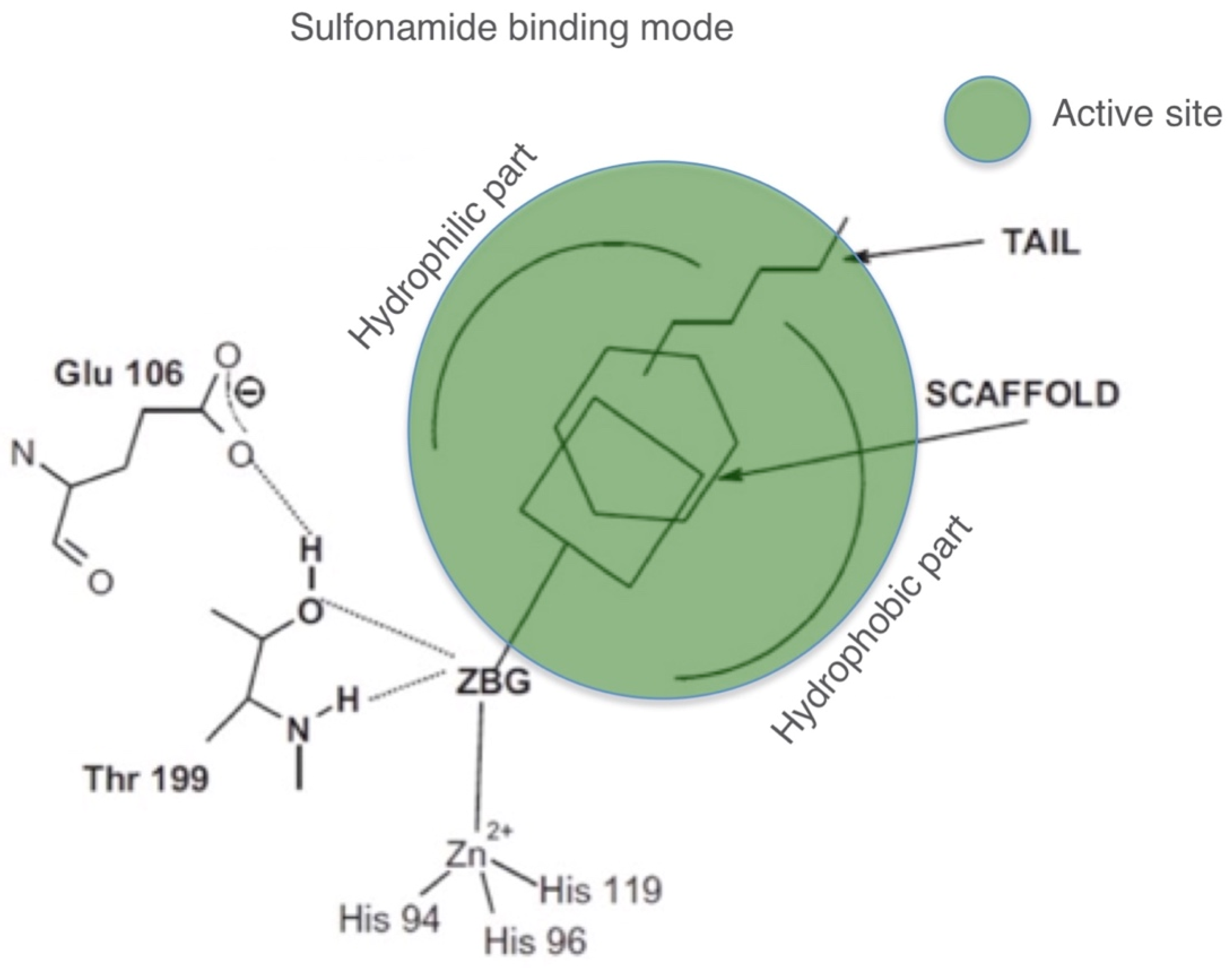 Marinedrugs 17 00146 g003