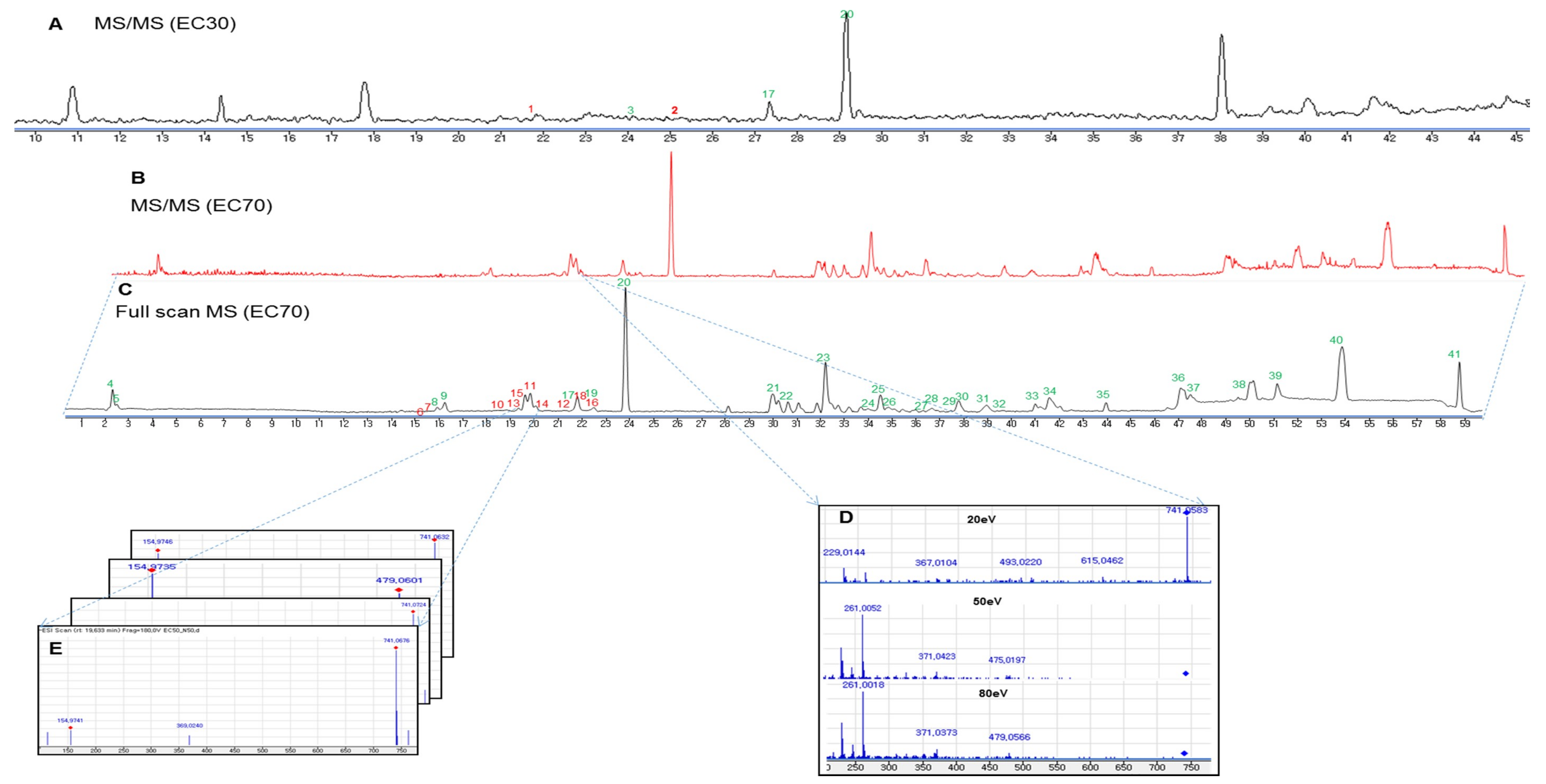 Marinedrugs 17 00149 g004