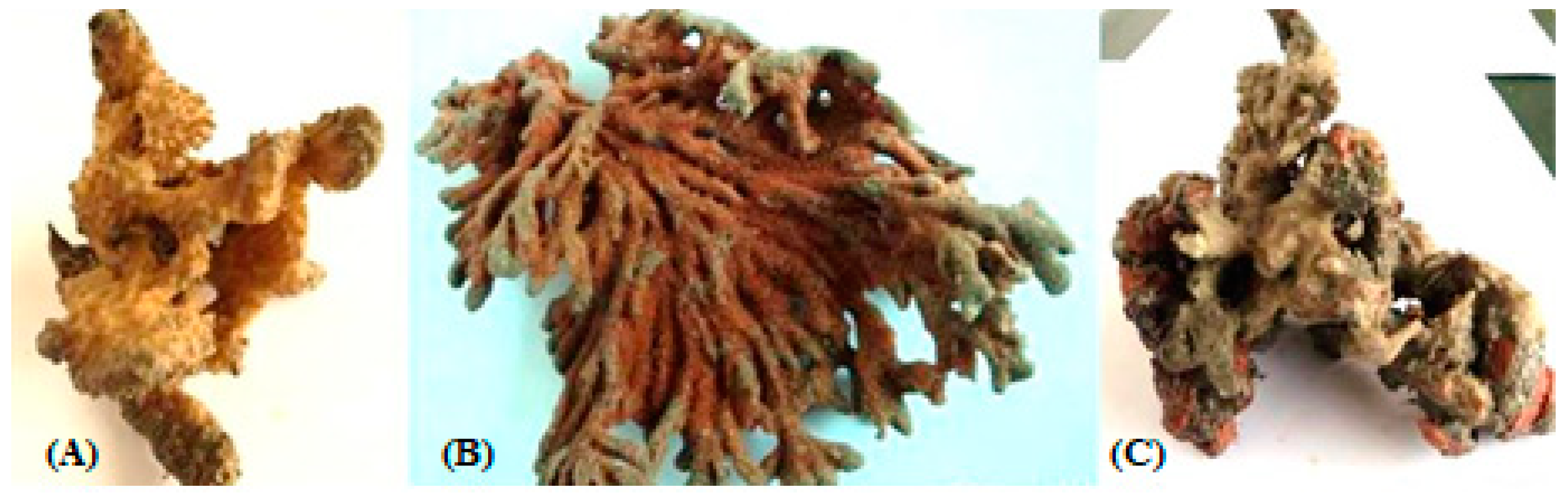 Marinedrugs 17 00164 g001