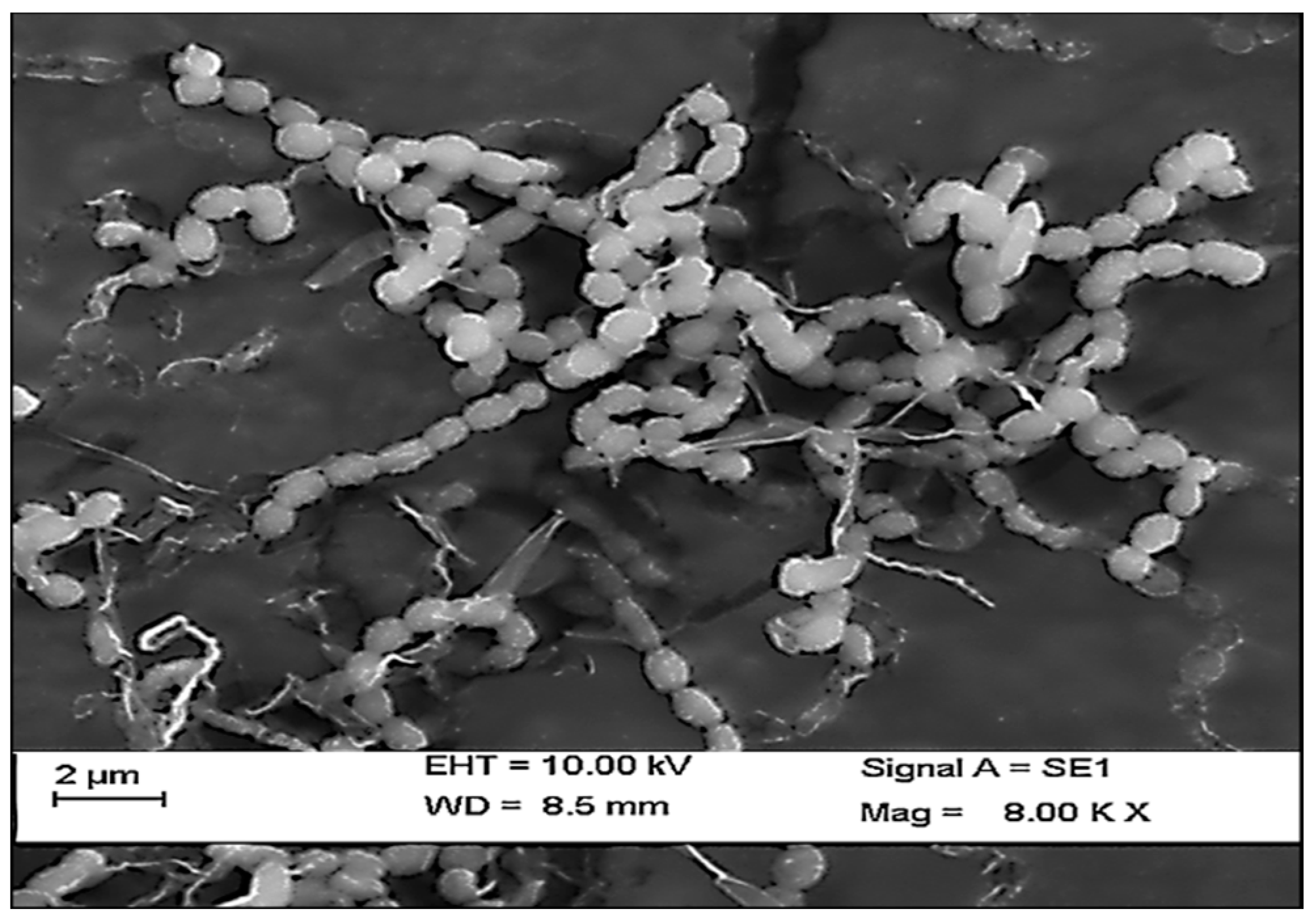 Marinedrugs 17 00164 g003