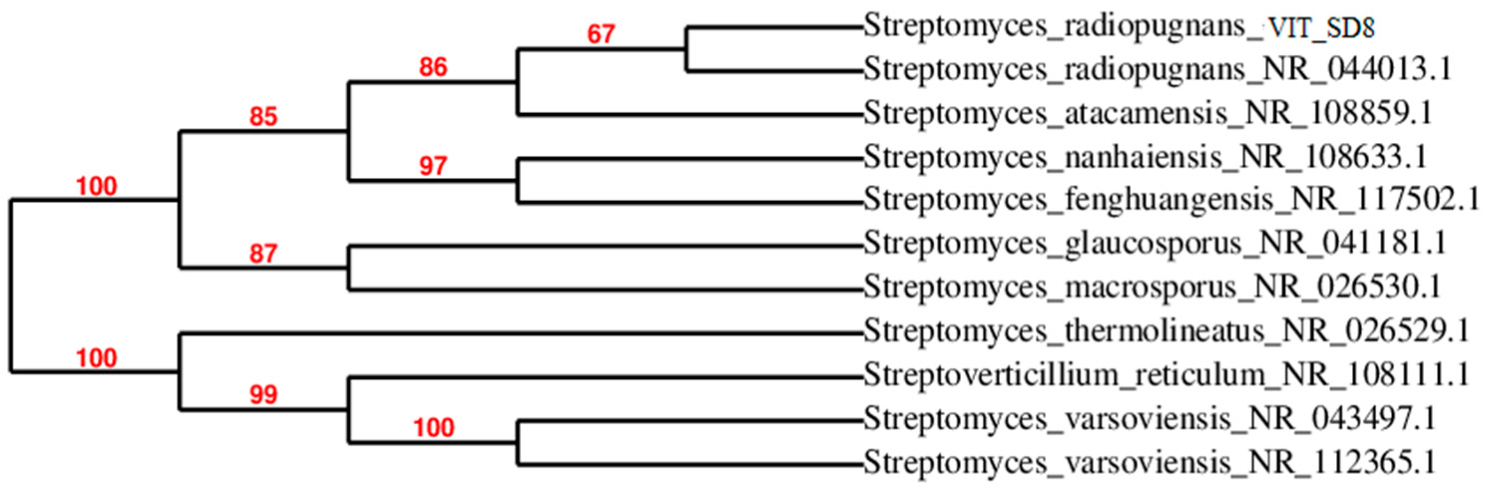 Marinedrugs 17 00164 g004