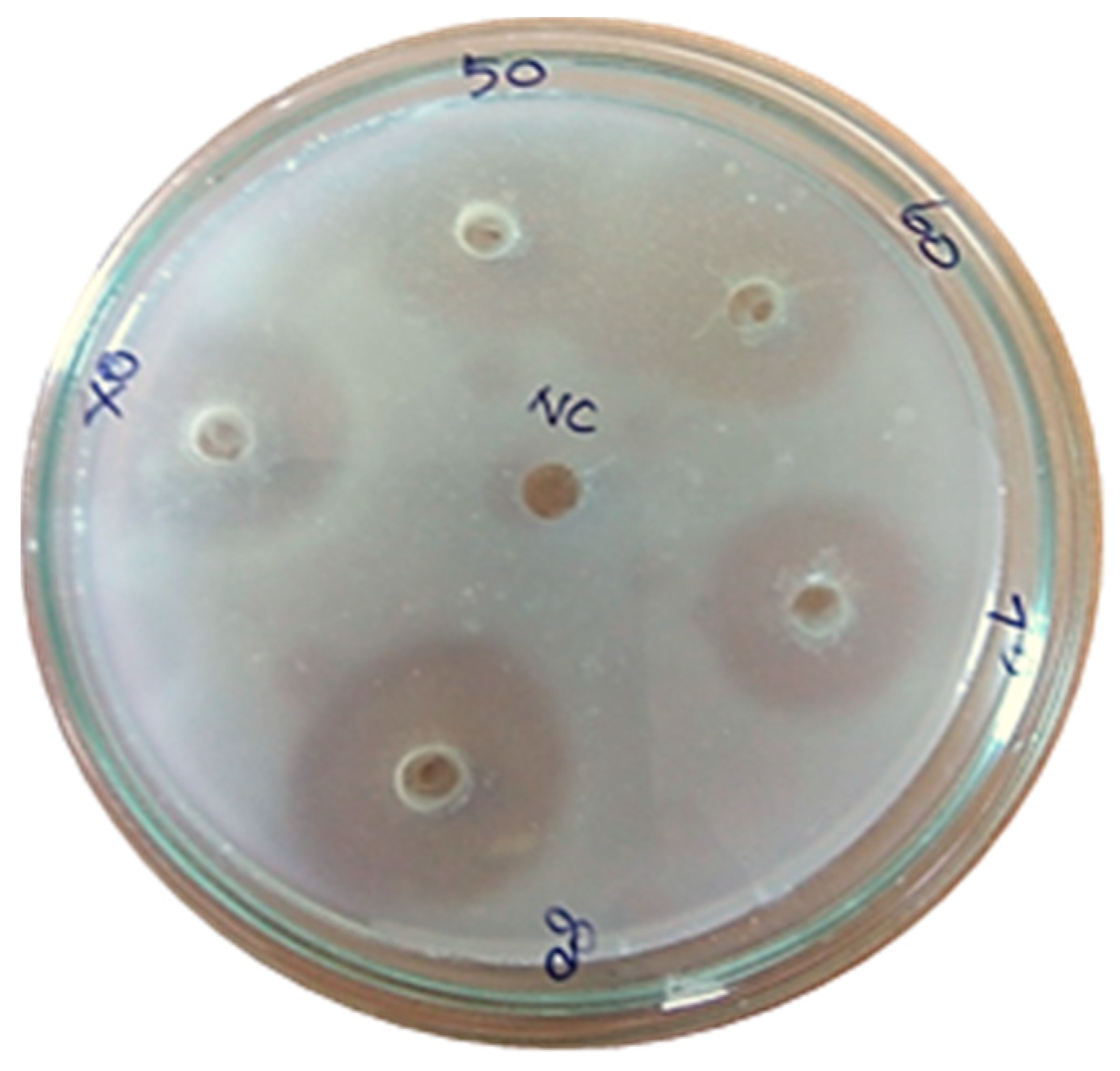 Marinedrugs 17 00164 g009